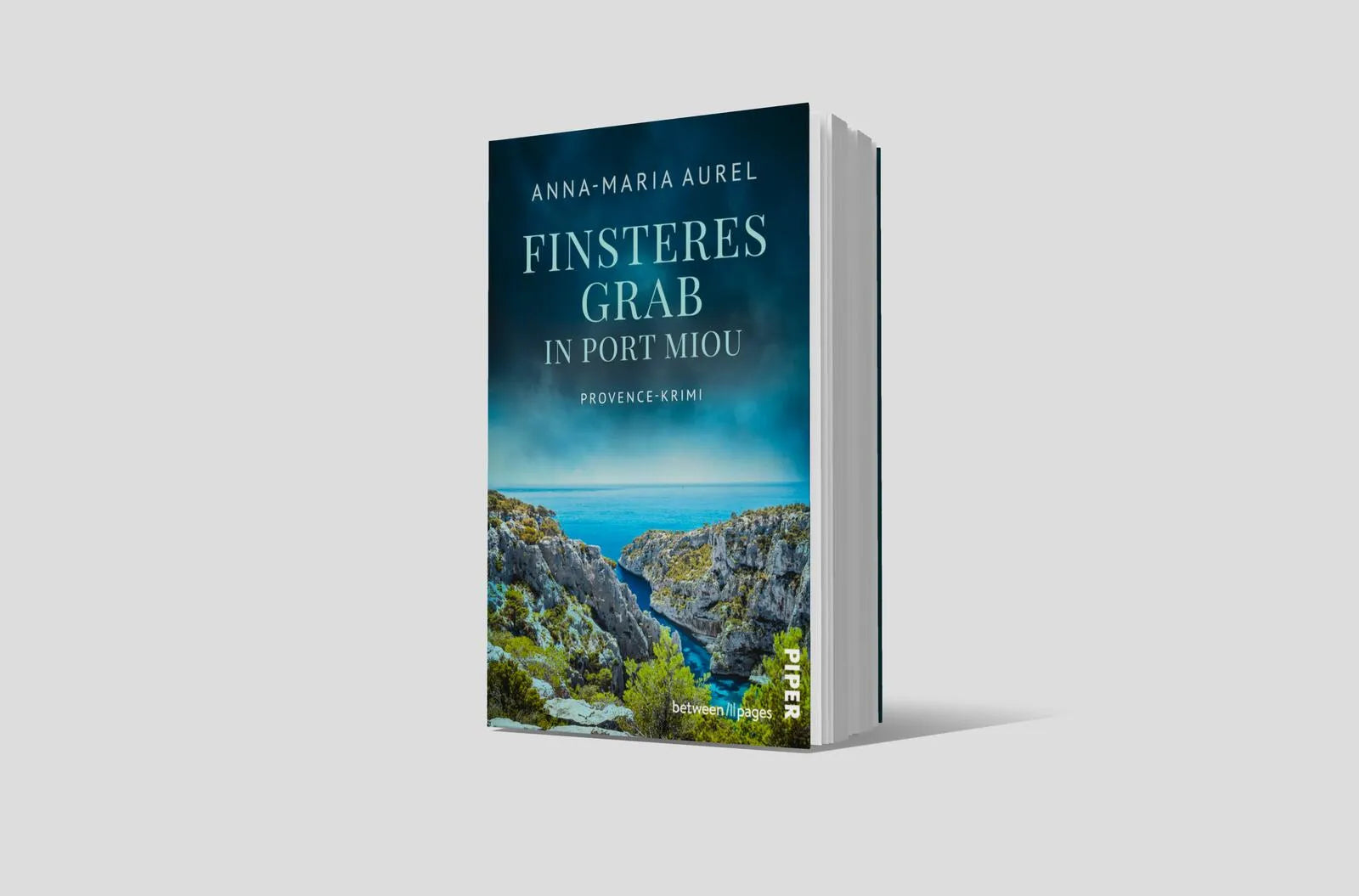 Produktansicht: Finsteres Grab in Port Miou (Taschenbuch)