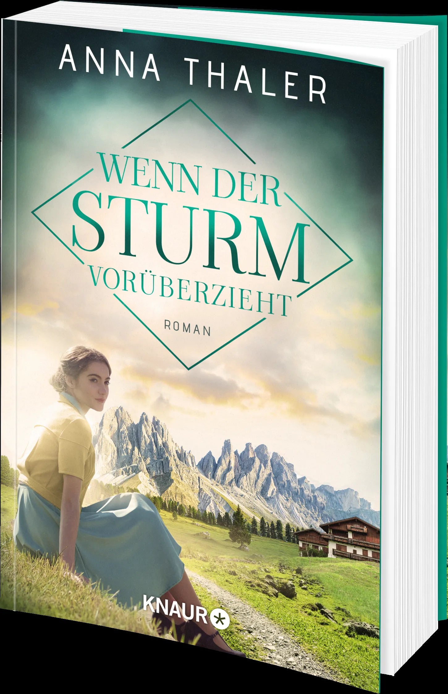 Produktansicht: Wenn der Sturm vorüberzieht (Taschenbuch)