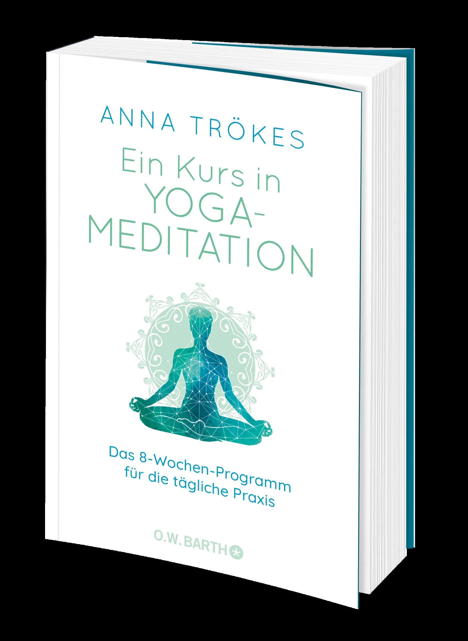 Produktansicht: Ein Kurs in Yoga-Meditation (Paperback)