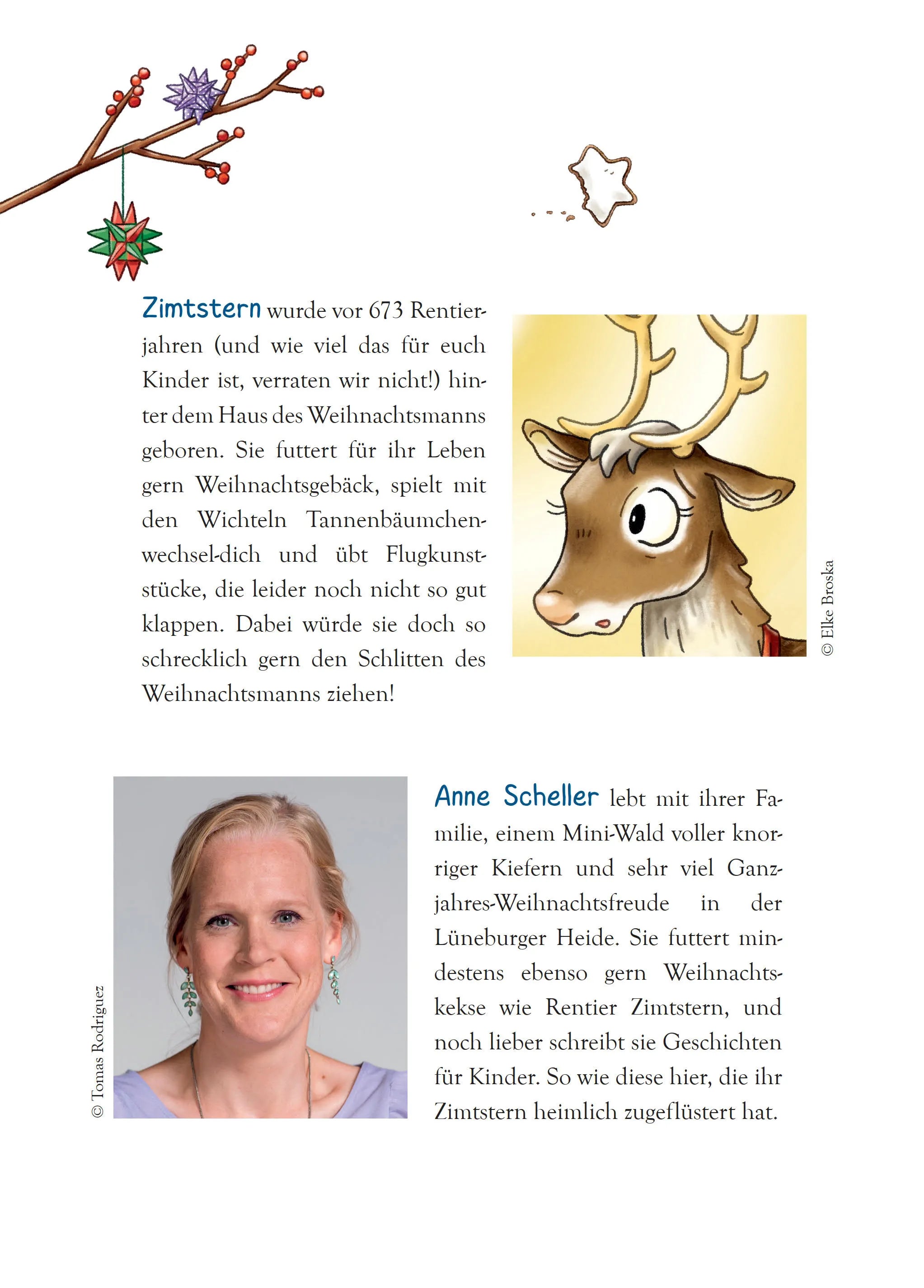 Produktansicht: Ein Rentier namens Zimtstern - Ein Adventskalenderbuch in 24 Kapiteln (Gebundene Ausgabe)