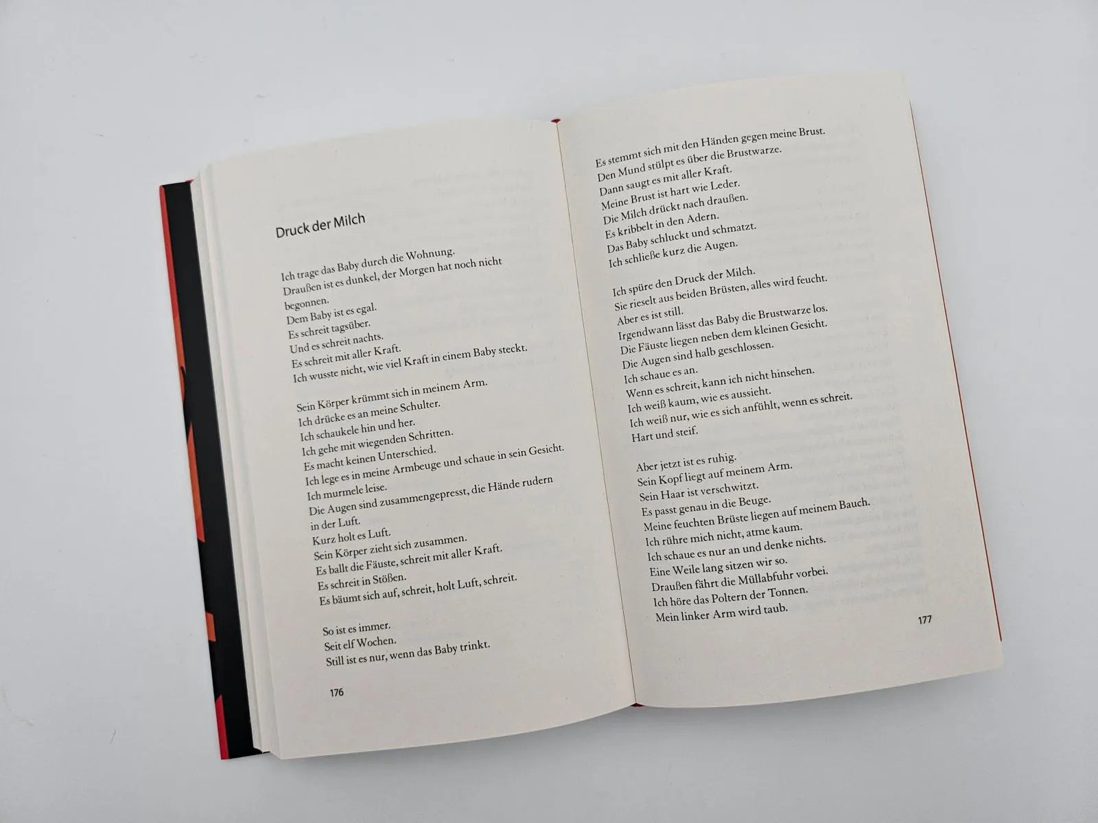Produktansicht: Einen Vulkan besteigen (Gebundene Ausgabe)