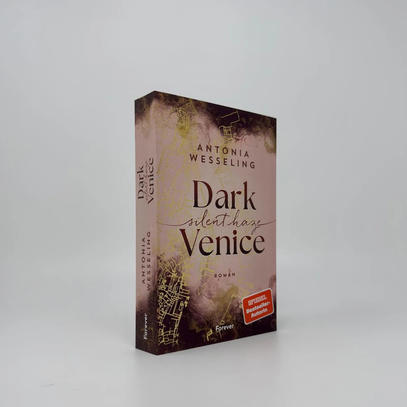Produktansicht: Dark Venice. Silent Haze (Paperback)