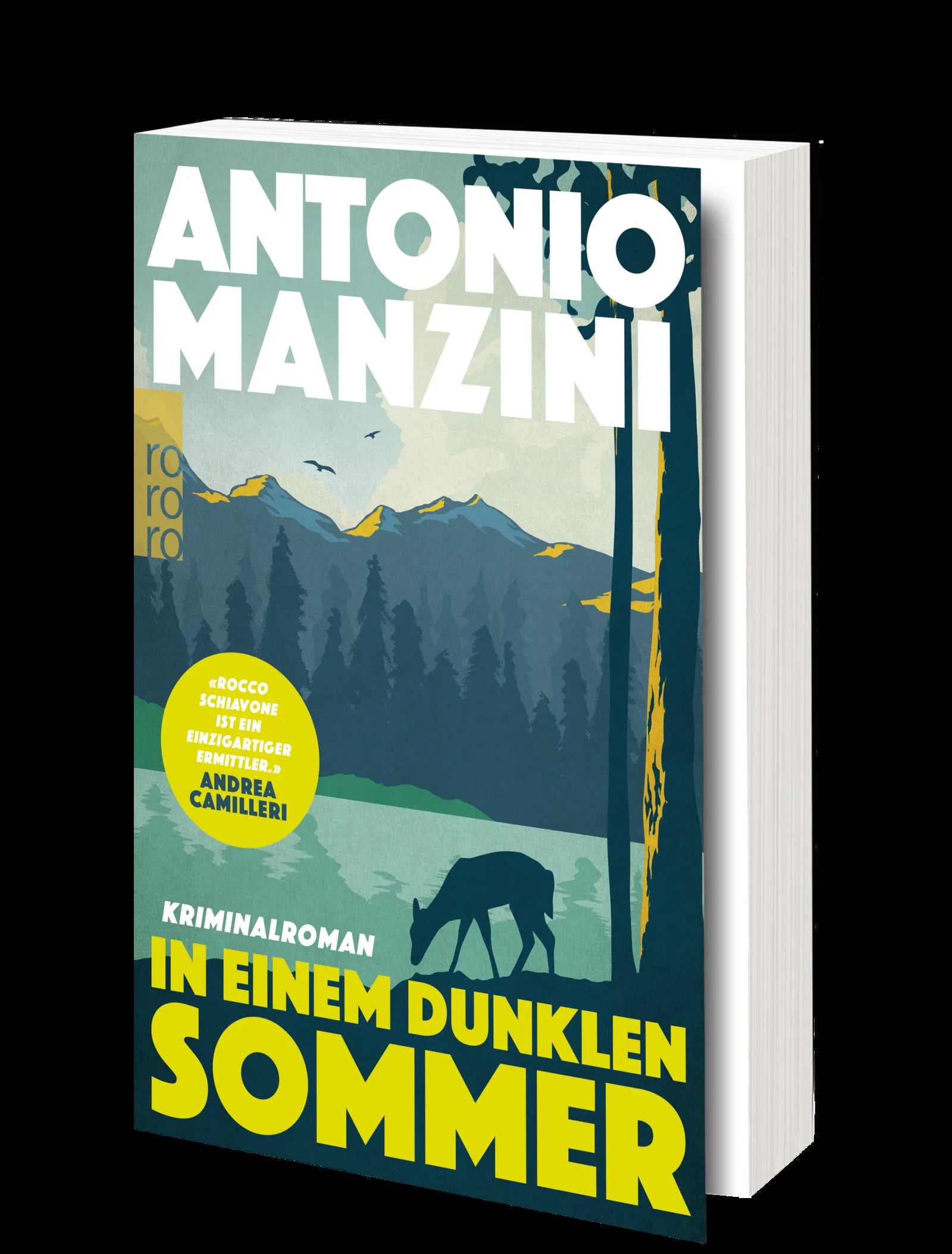 Produktansicht: In einem dunklen Sommer (Taschenbuch)