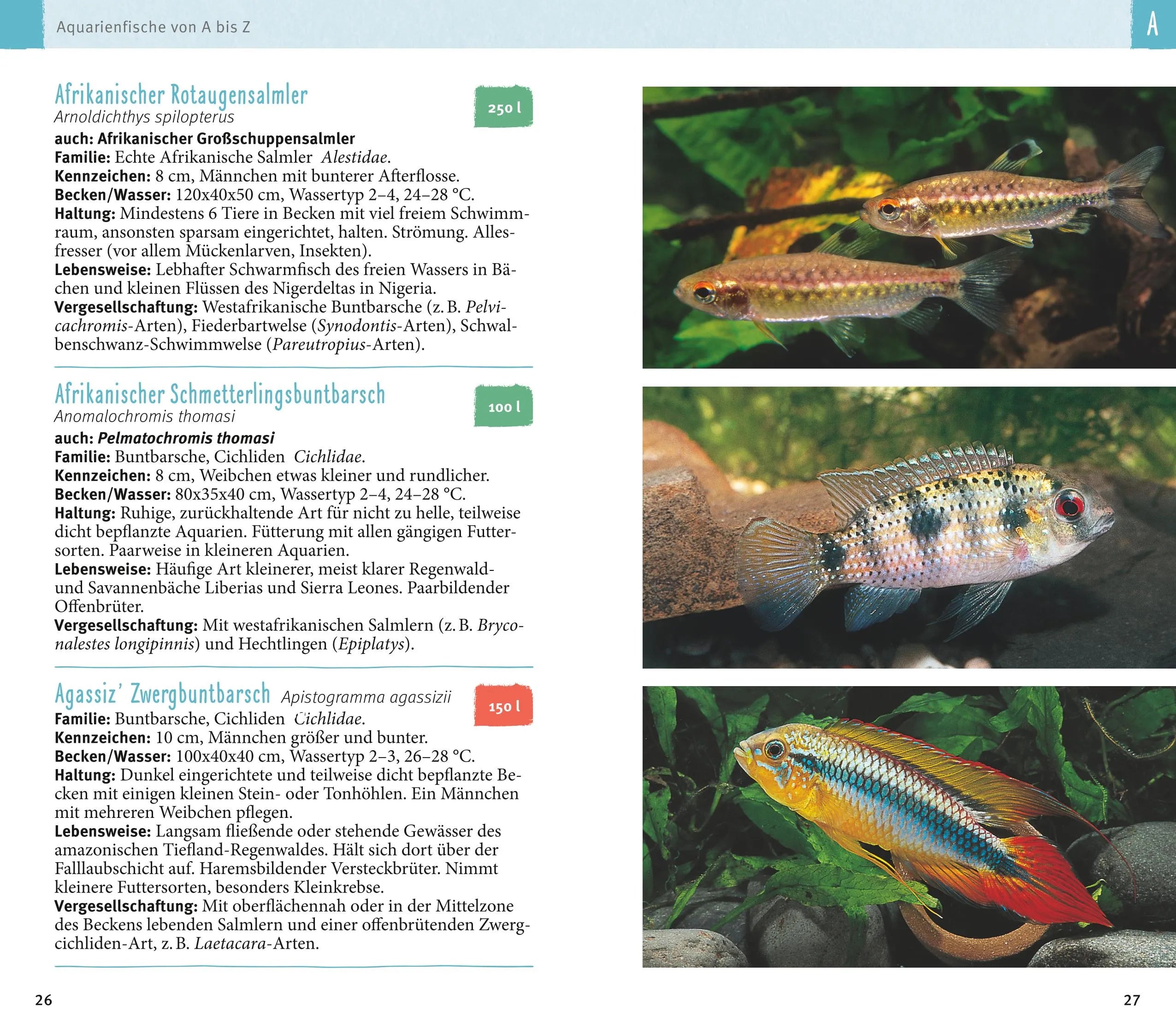Produktansicht: Aquarienfische von A bis Z (Taschenbuch)