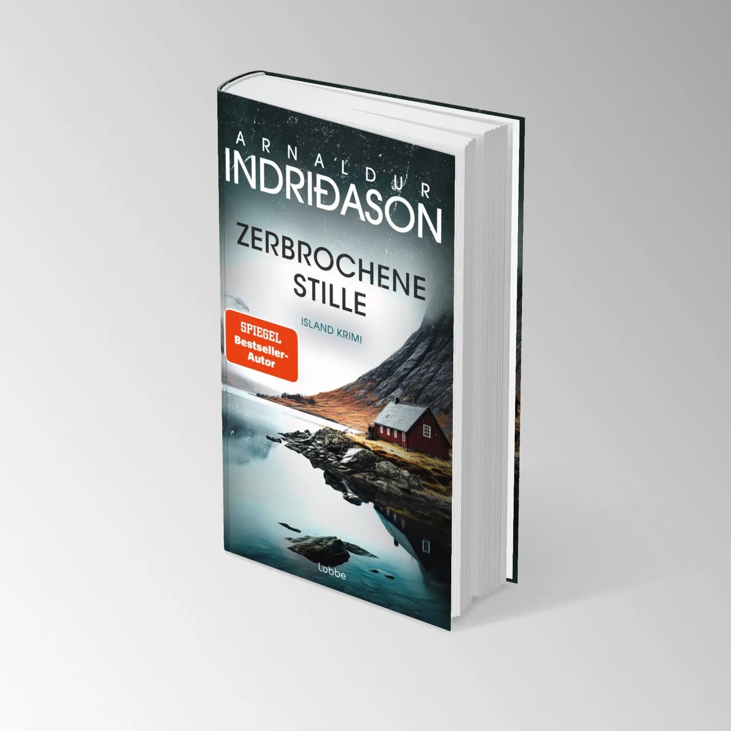 Produktansicht: Zerbrochene Stille (Gebundene Ausgabe)
