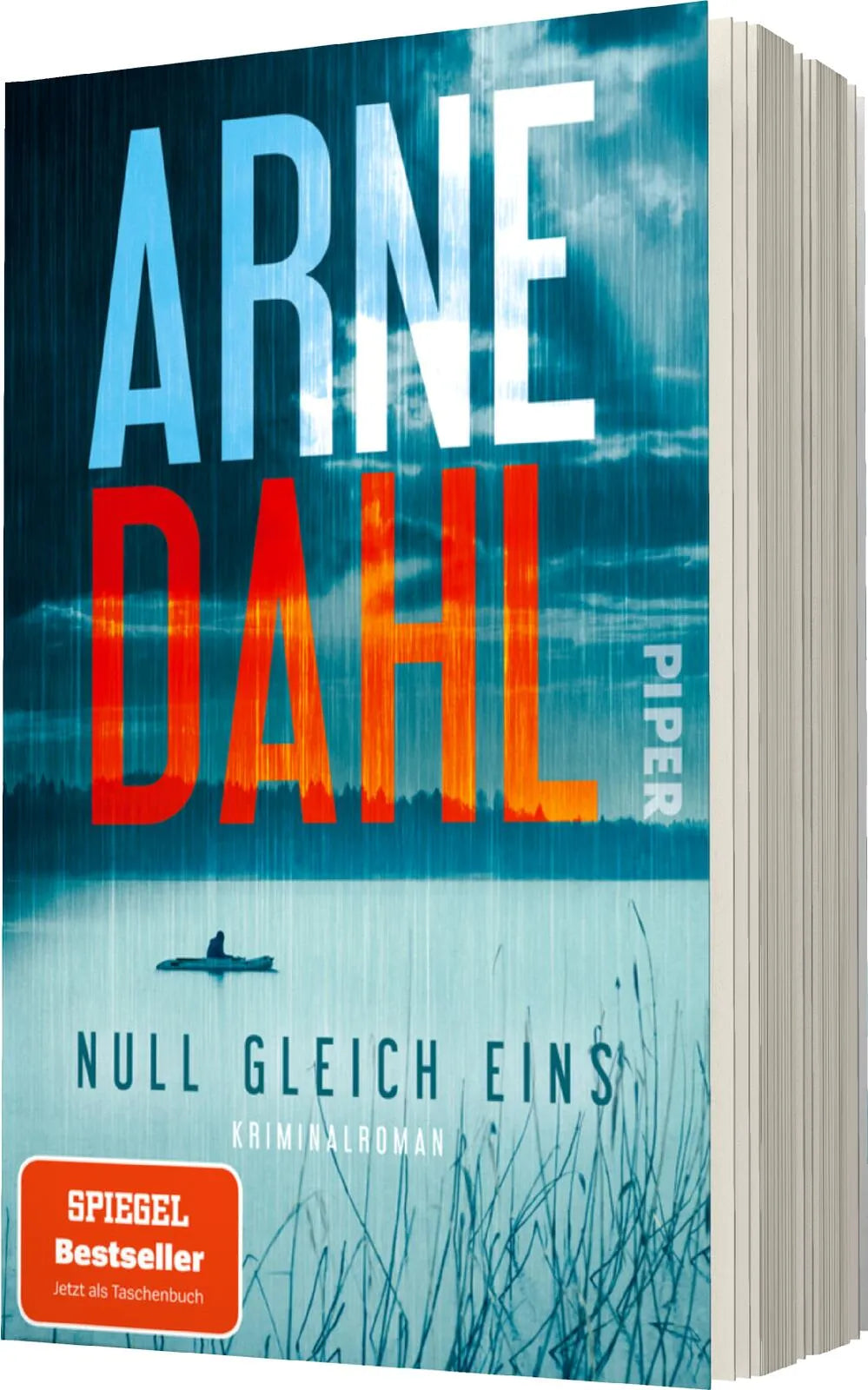 Produktansicht: Null gleich eins (Taschenbuch)