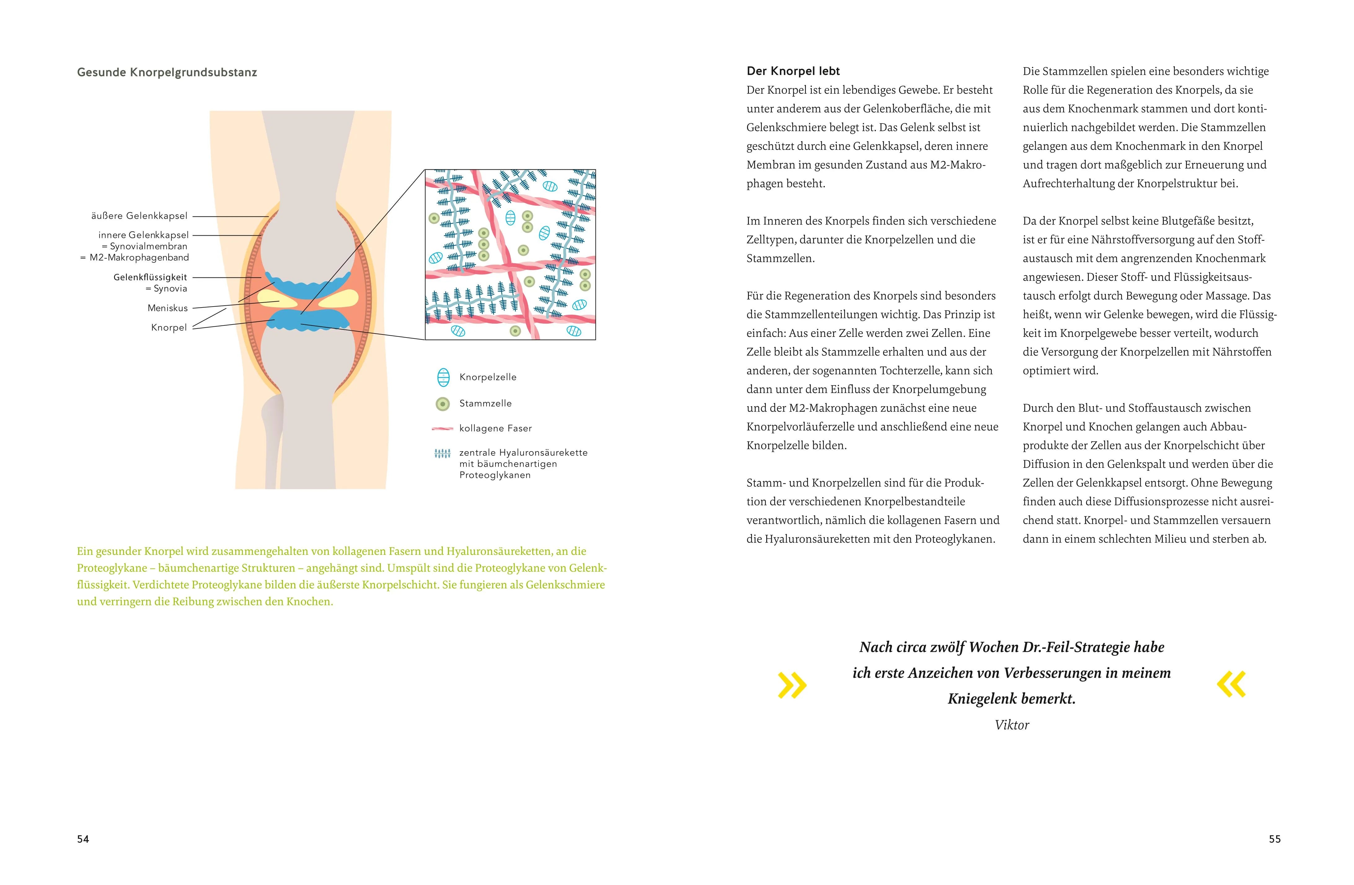 Detailansicht: Arthrose endlich heilen (Hardcover)