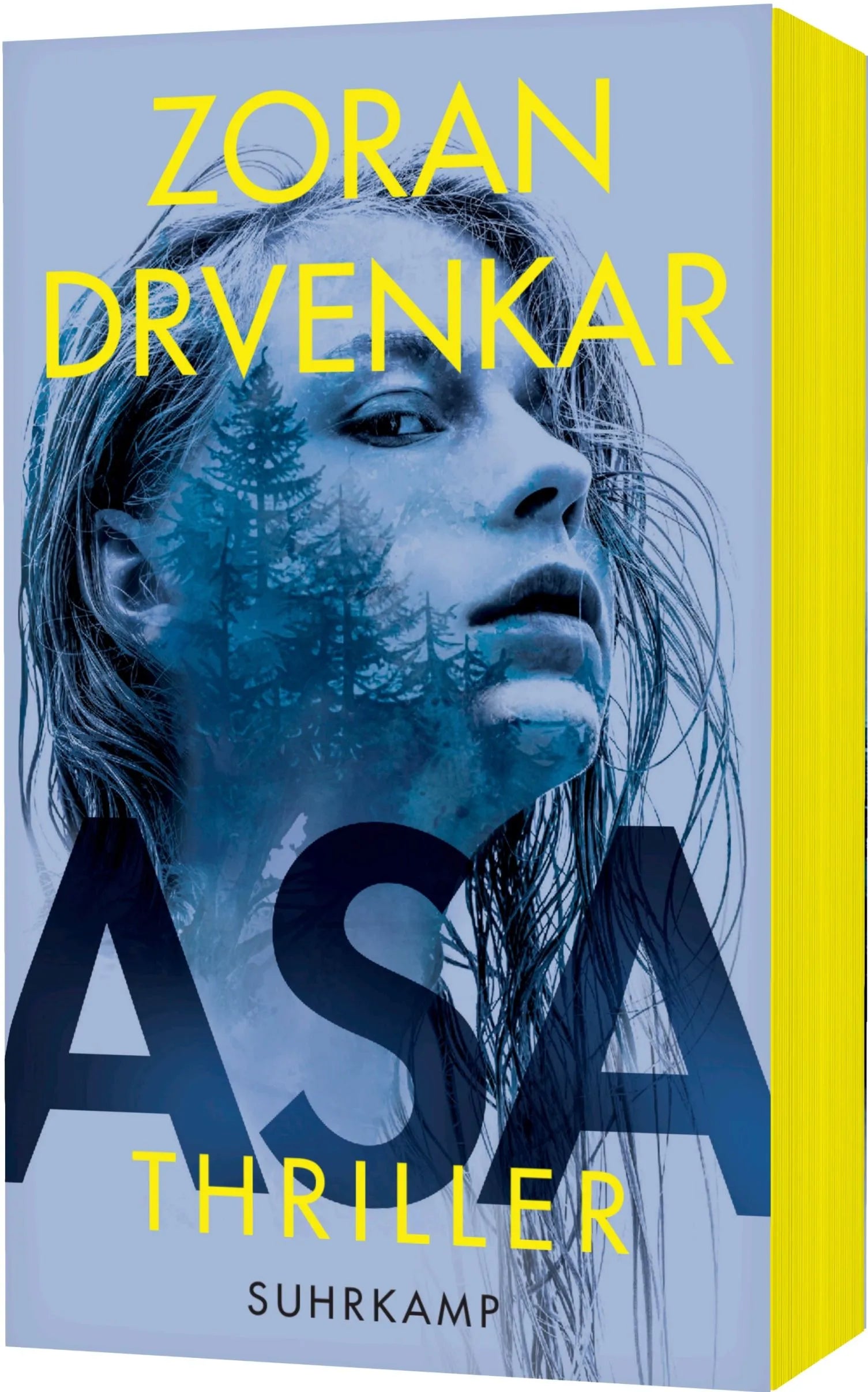 Cover: Asa (Taschenbuch) von Zoran Drvenkar