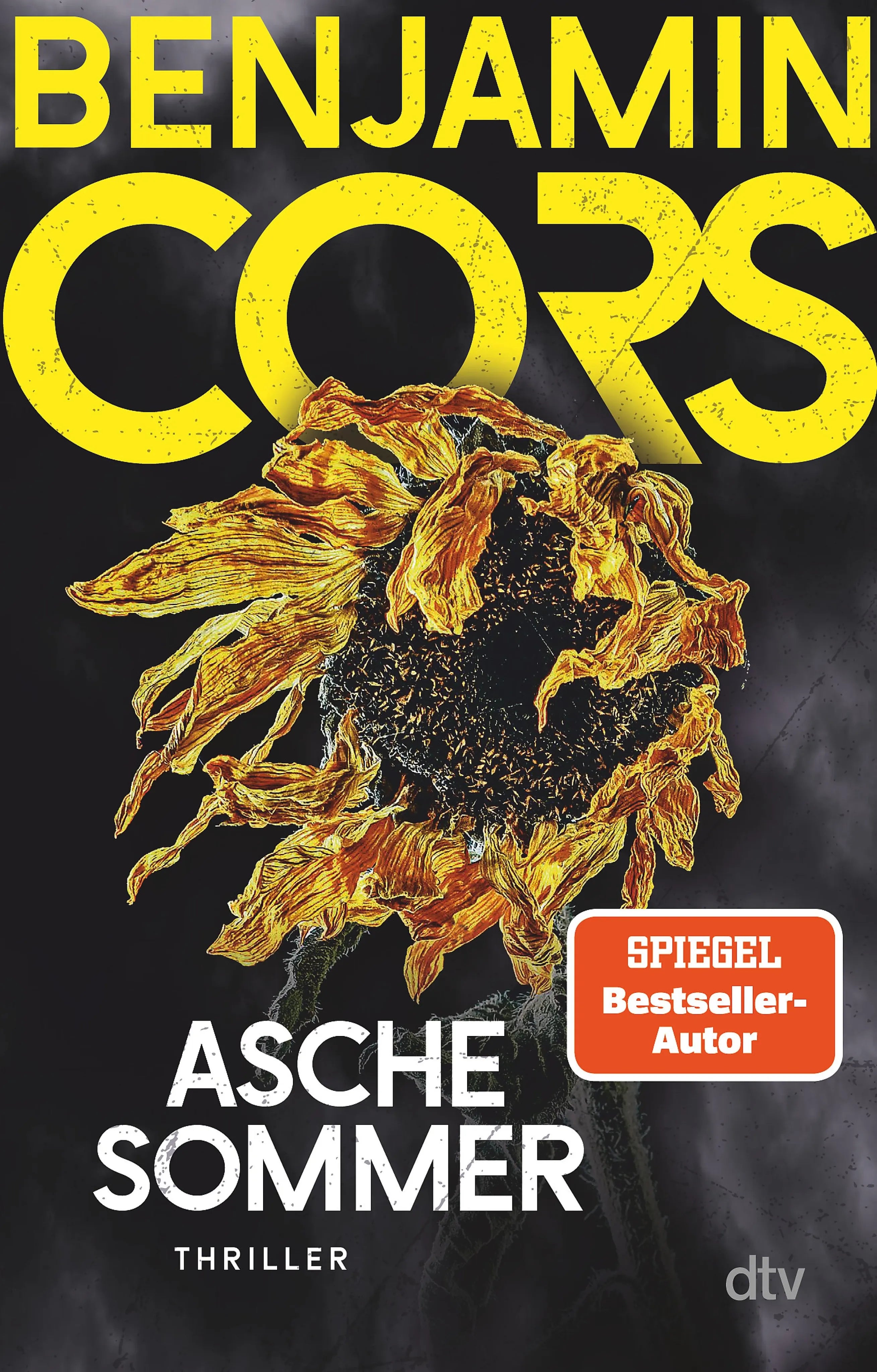 Cover: Aschesommer (E-Book) von Benjamin Cors