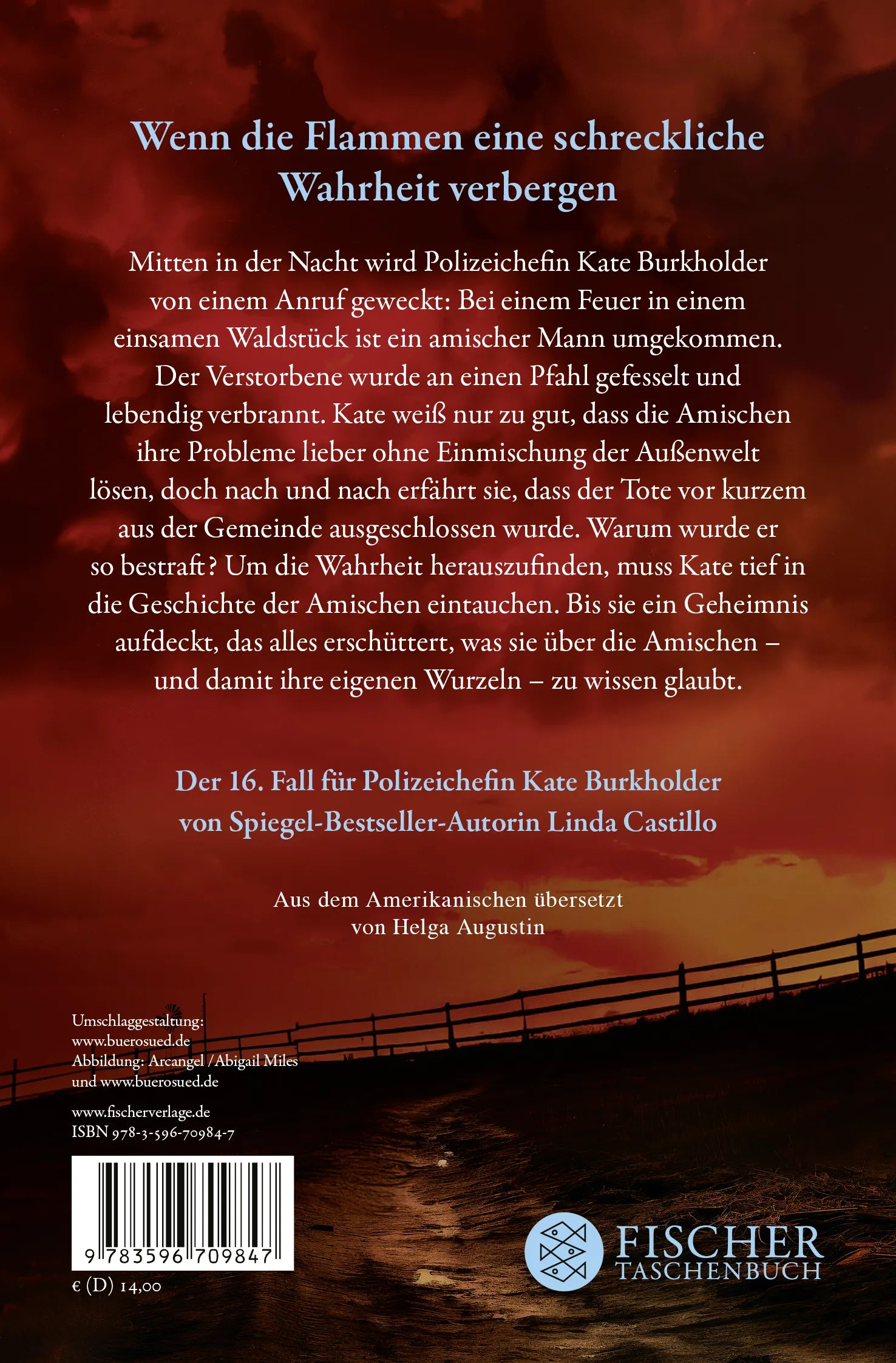 Buchrückseite von 'Aschetod' mit Klappentext - Taschenbuch