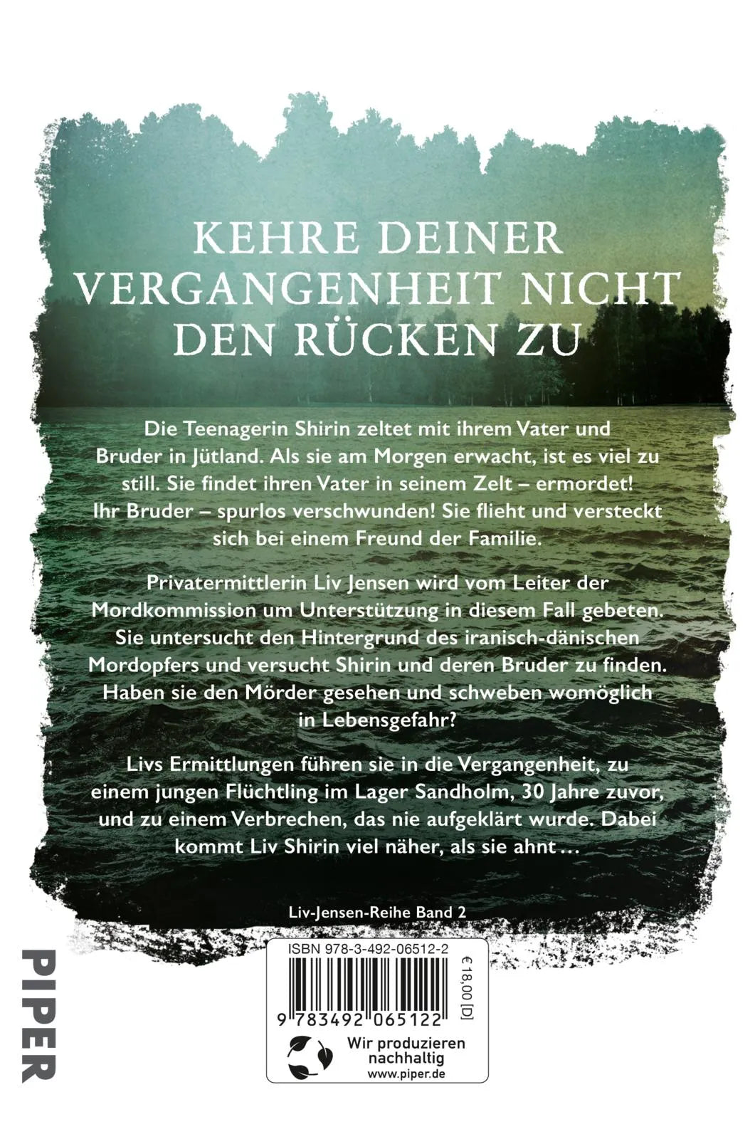 Buchrückseite von 'Aschezeichen' mit Klappentext - Paperback