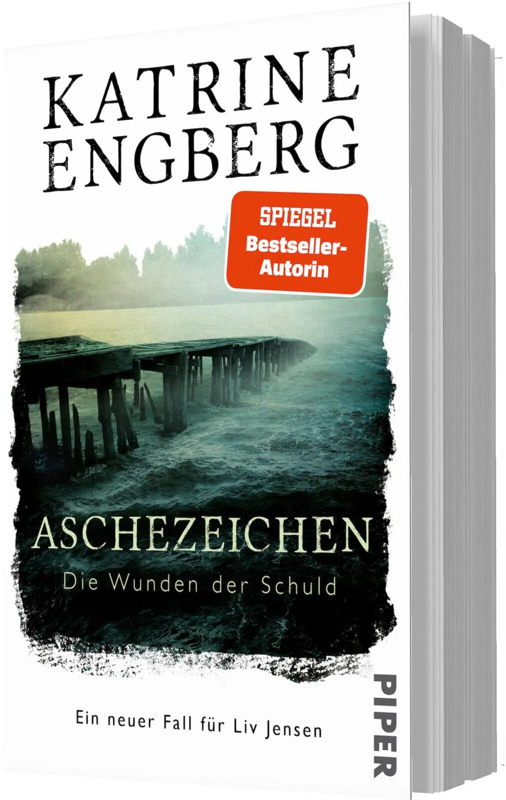 Detailansicht: Aschezeichen (Taschenbuch)