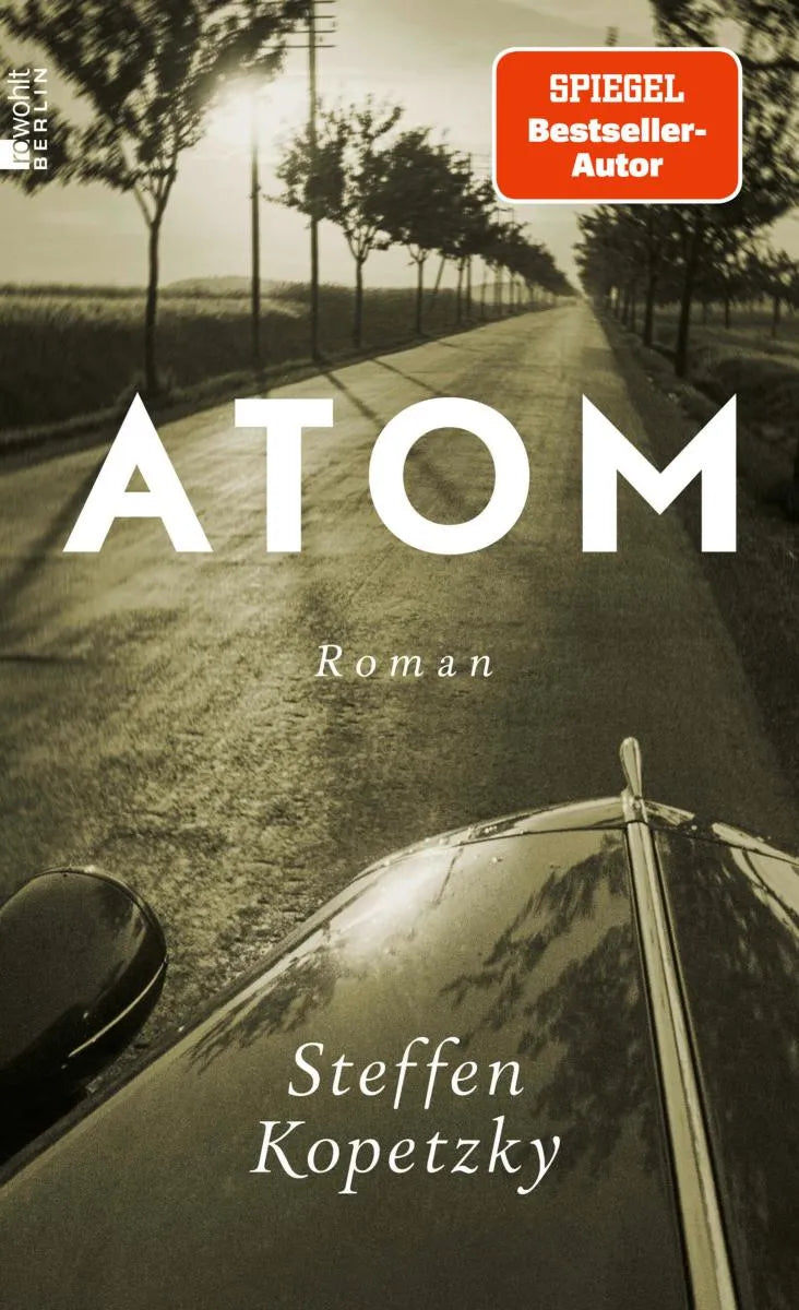 Cover: Atom (E-Book) von Steffen Kopetzky