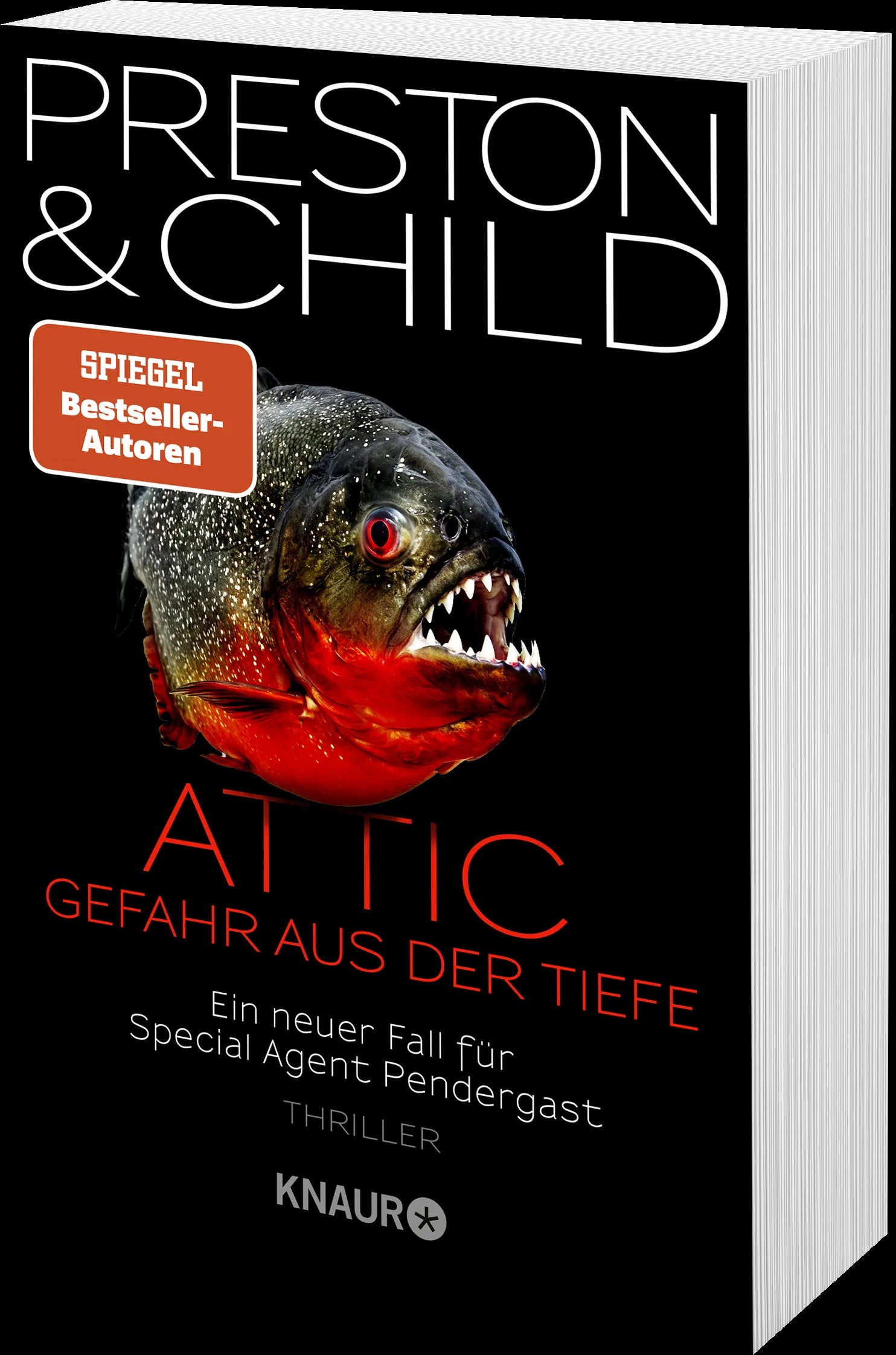 Detailansicht: Attic (Taschenbuch)