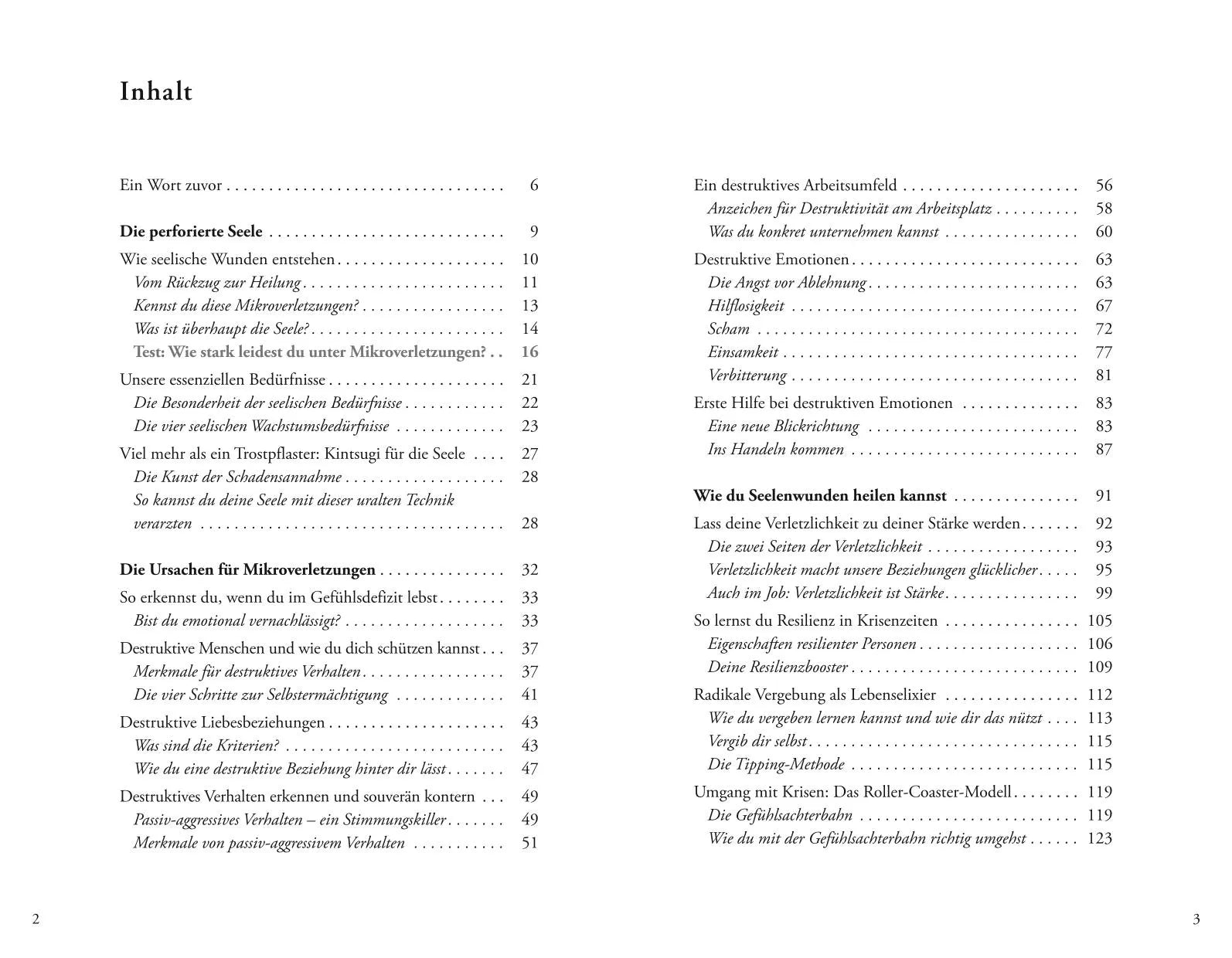 Anne Heintze - Auch kleine Stiche machen Seelenwunden