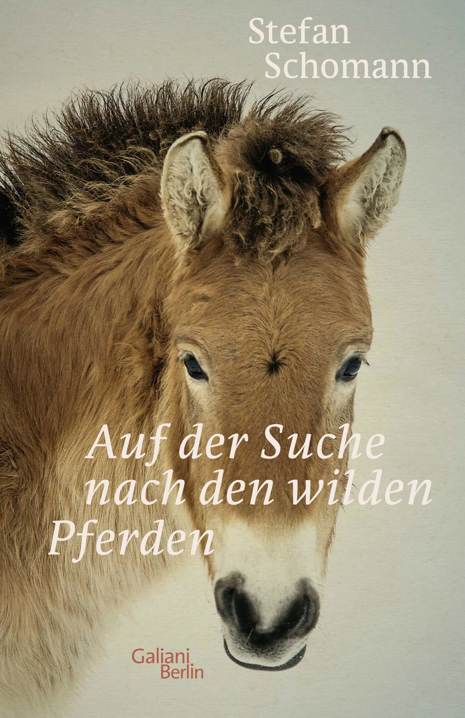 Buchcover von 'Auf der Suche nach den wilden Pferden' - Gebundene Ausgabe von Stefan Schomann