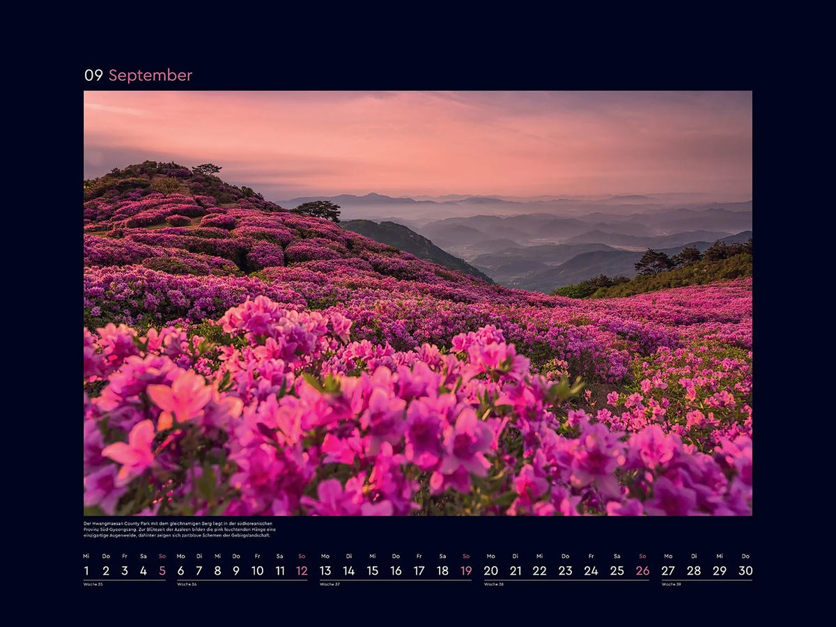 Aufgeblüht - KUNTH Wandkalender 2027 – Ansicht
