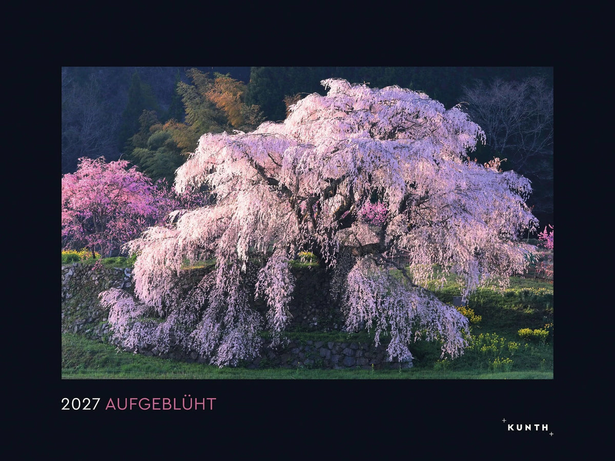 Wandkalender: Aufgeblüht - KUNTH Wandkalender 2027
