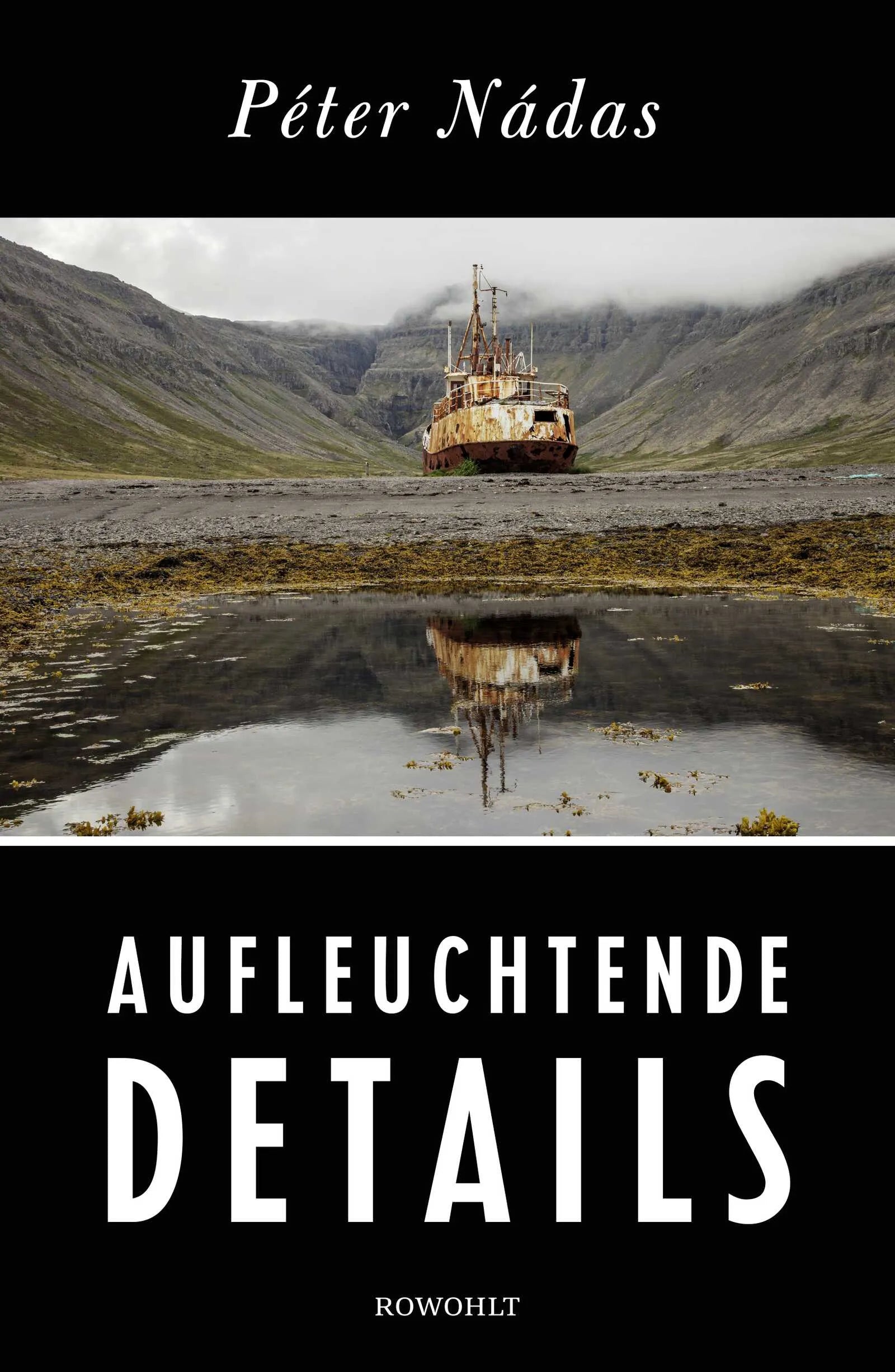 Buchcover von 'Aufleuchtende Details' - Gebundene Ausgabe von Péter Nádas