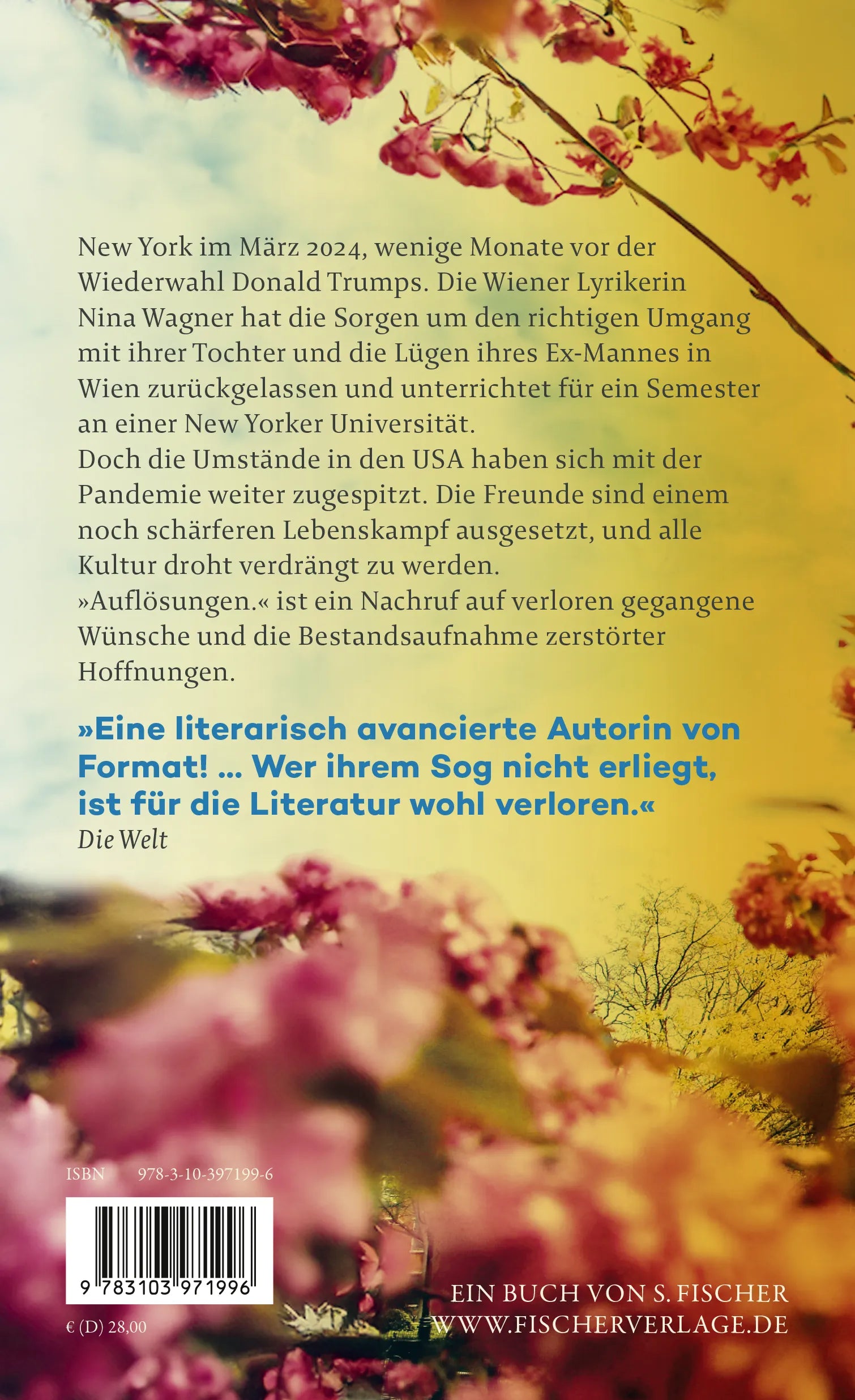 Buchrückseite von 'Auflösungen.' mit Klappentext - Gebundene Ausgabe