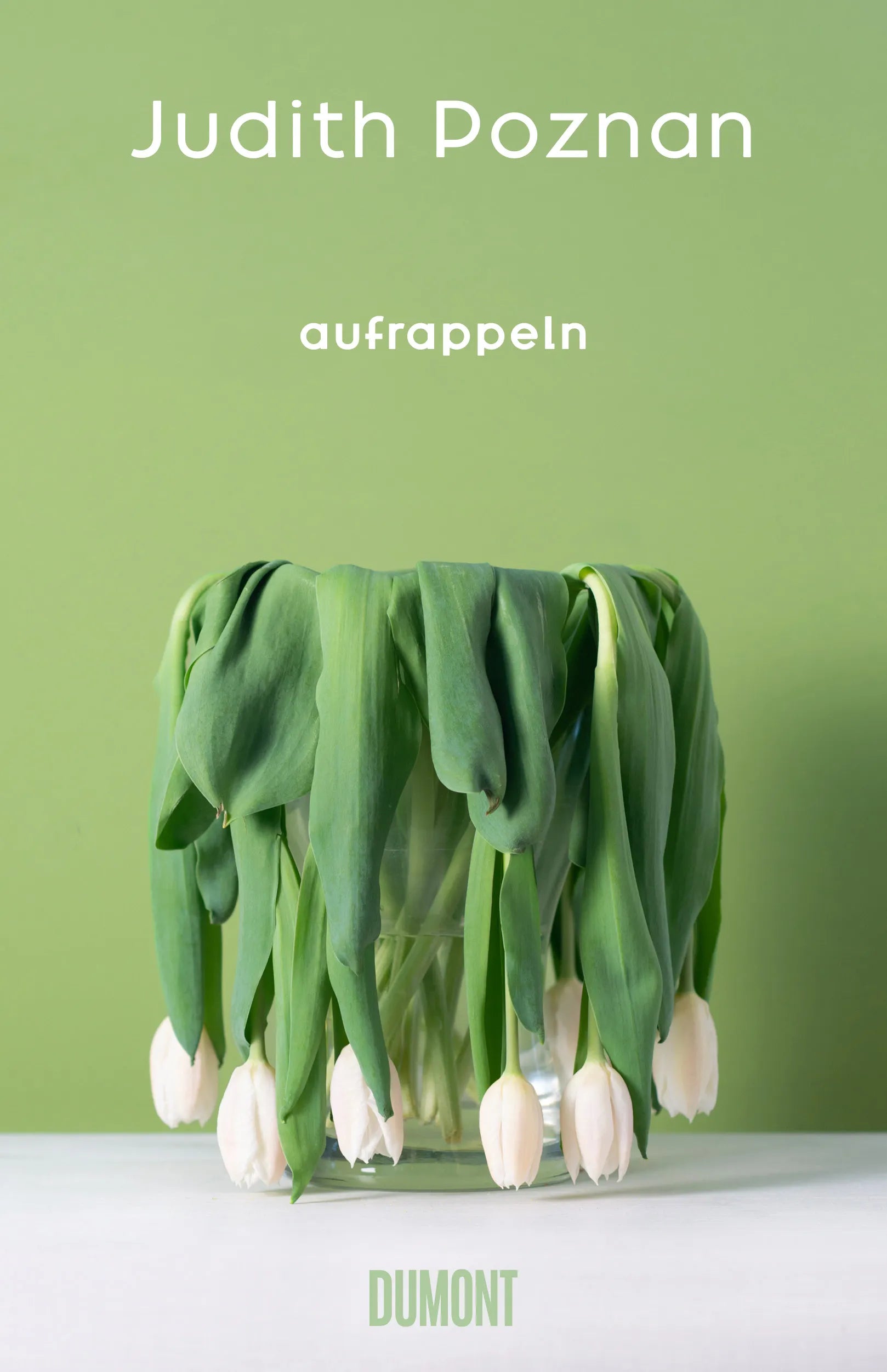 Cover: Aufrappeln (E-Book) von Judith Poznan