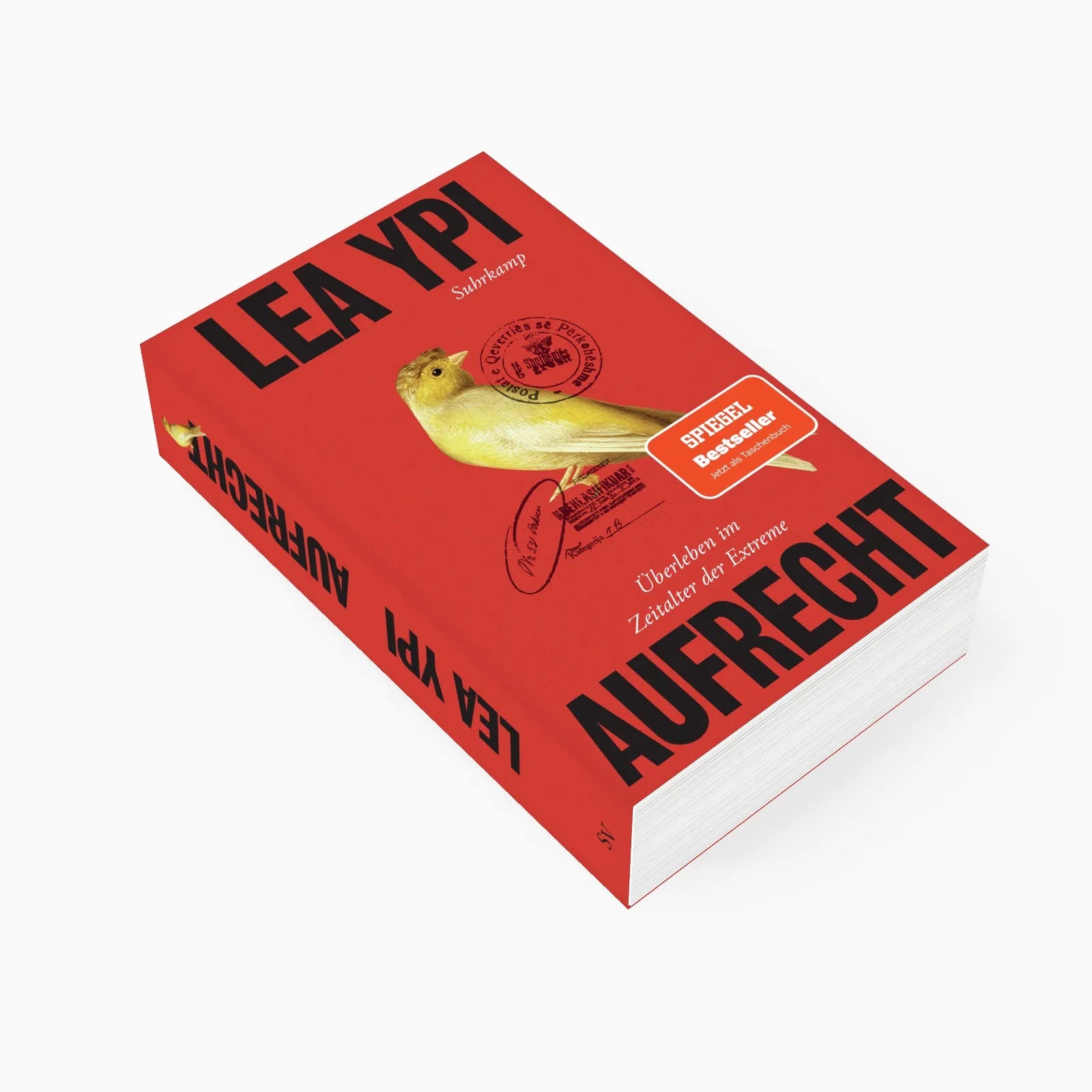 Detailansicht: Aufrecht (Taschenbuch)