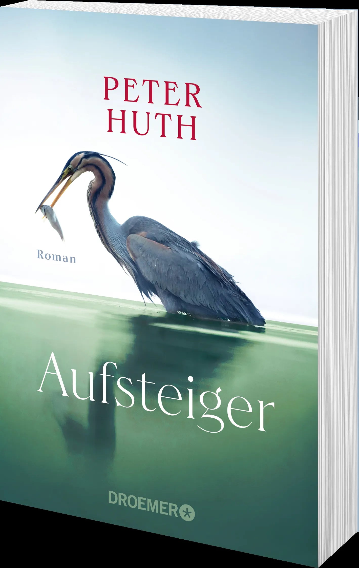 Detailansicht: Aufsteiger (Taschenbuch)