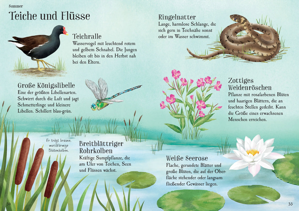 Detailansicht: Augen auf in der Natur! (Taschenbuch)