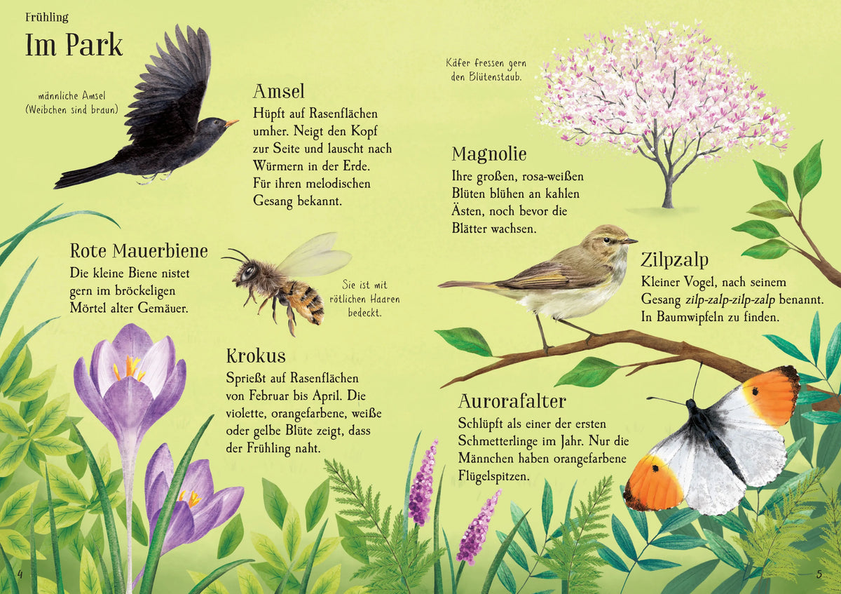 Detailansicht: Augen auf in der Natur! (Taschenbuch)