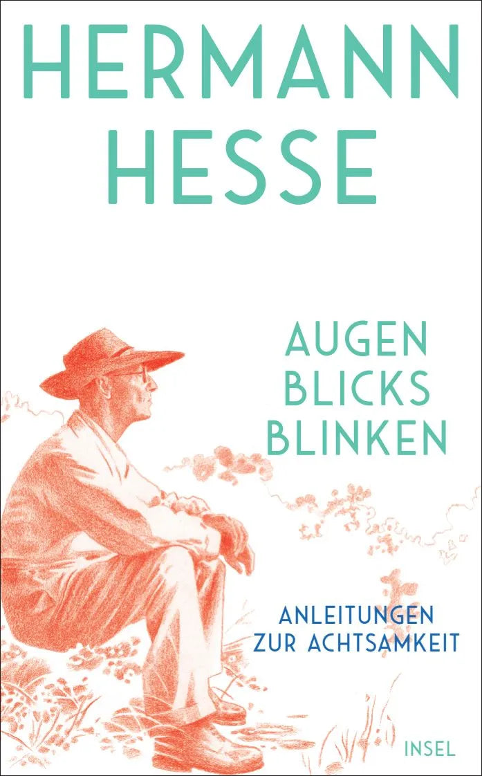 Cover: »Augenblicksblinken« (Taschenbuch) von Hermann Hesse