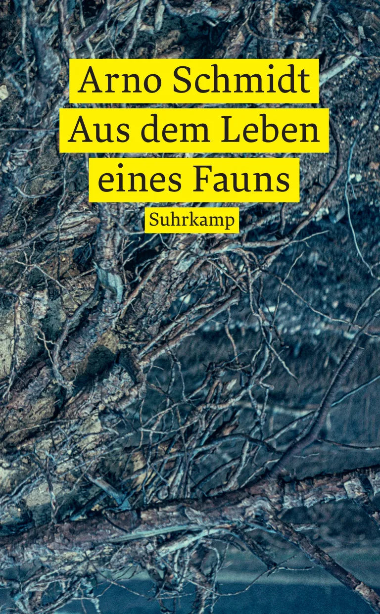 Buchcover von 'Aus dem Leben eines Fauns' - Taschenbuch von Arno Schmidt