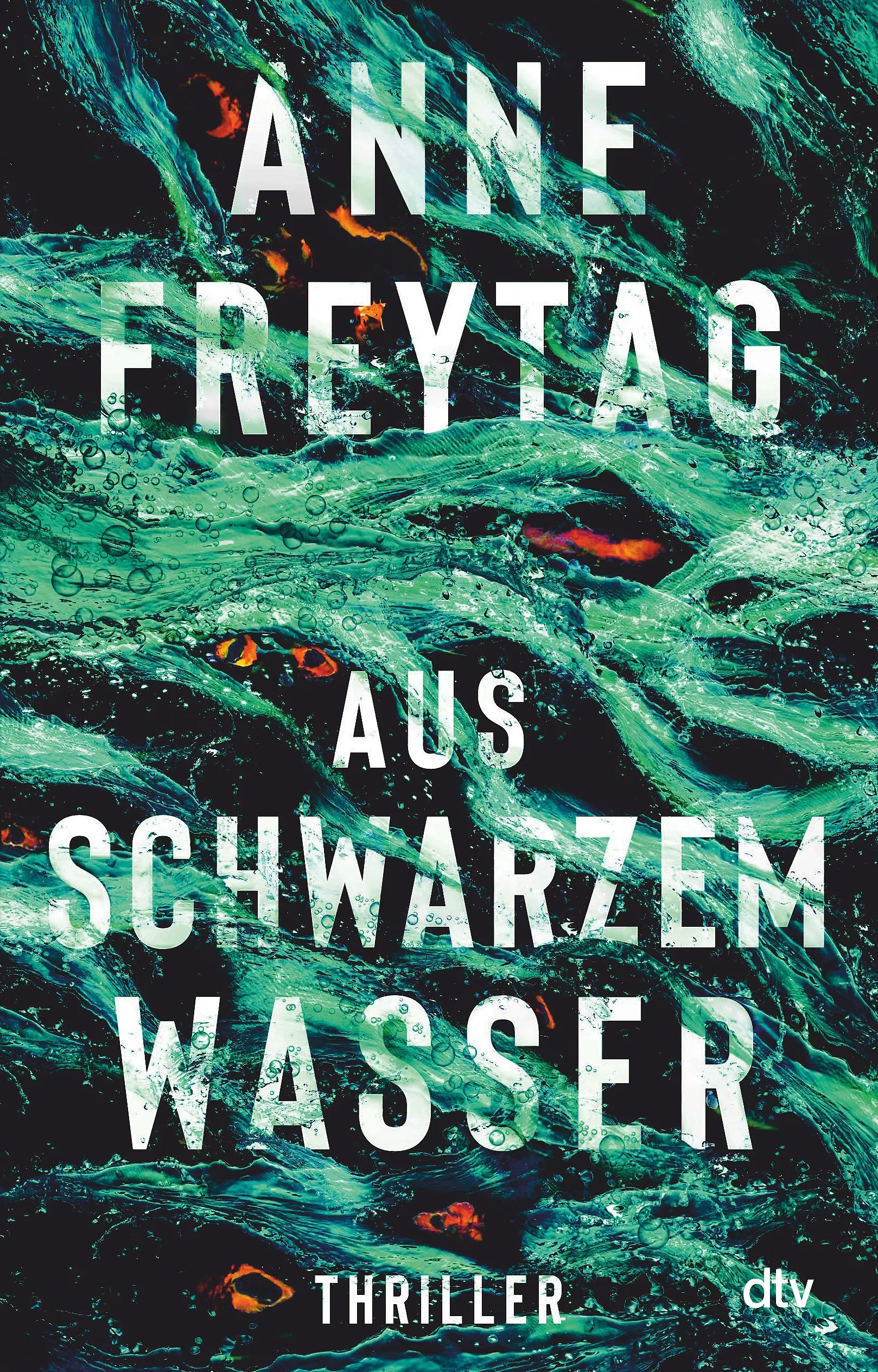 Buchcover von 'Aus schwarzem Wasser' - Paperback von Anne Freytag