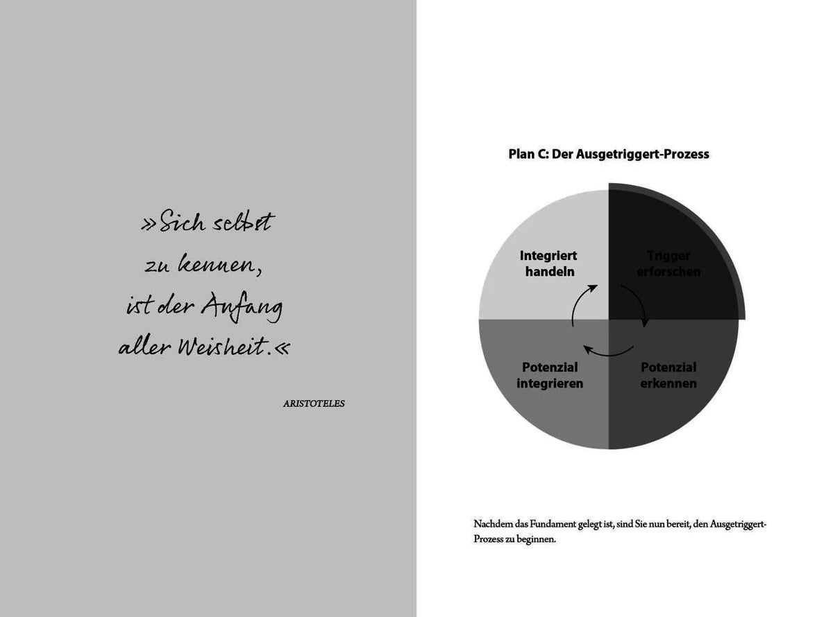 Detailansicht: Ausgetriggert (Hardcover)