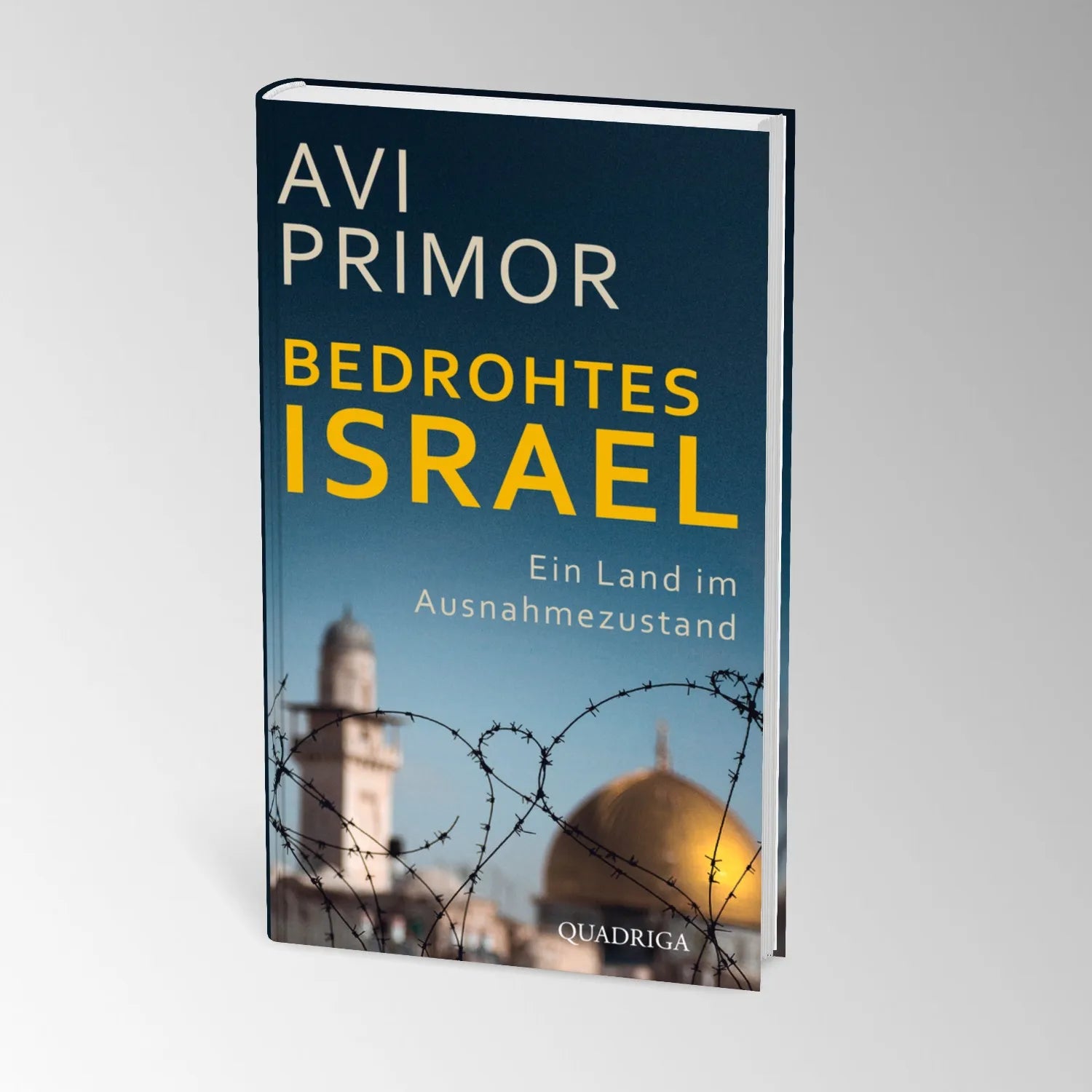 Produktansicht: Bedrohtes Israel (Gebundene Ausgabe)