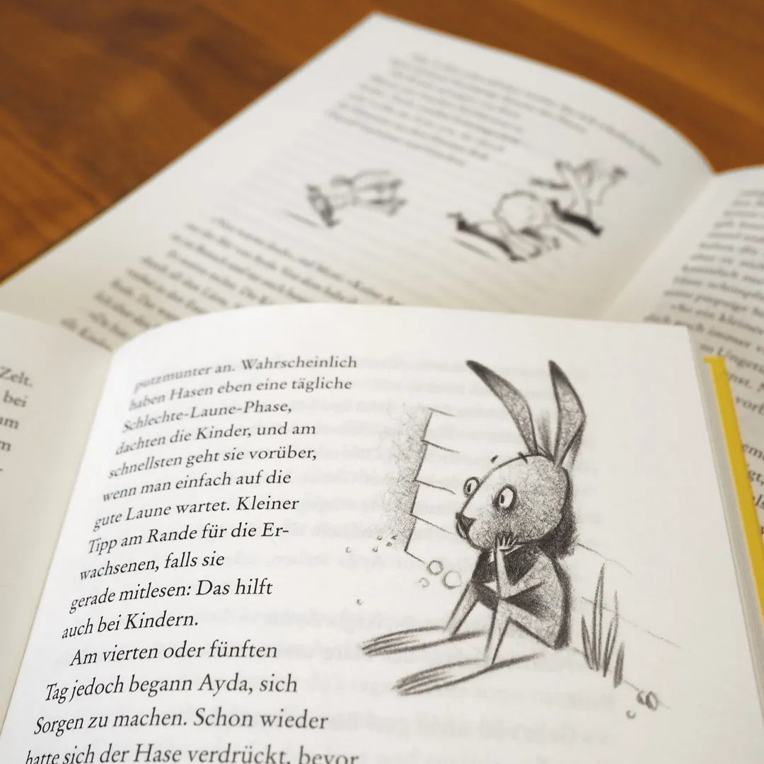 Produktansicht: Ayda, Bär und Hase (Gebundene Ausgabe)