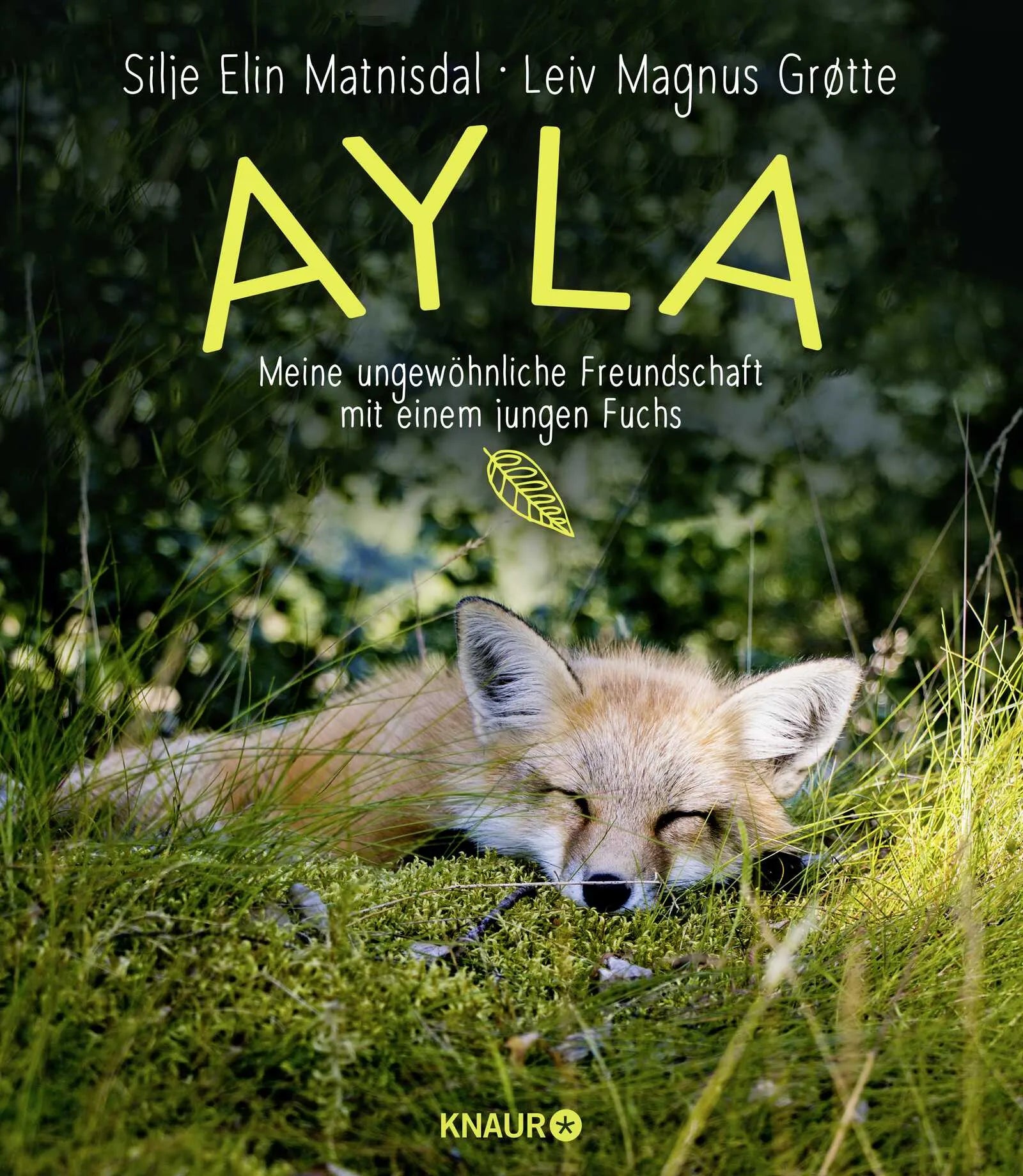 Buchcover von 'Ayla - meine ungewöhnliche Freundschaft mit einem jungen Fuchs' - Gebundene Ausgabe von Silje Elin Matnisdal