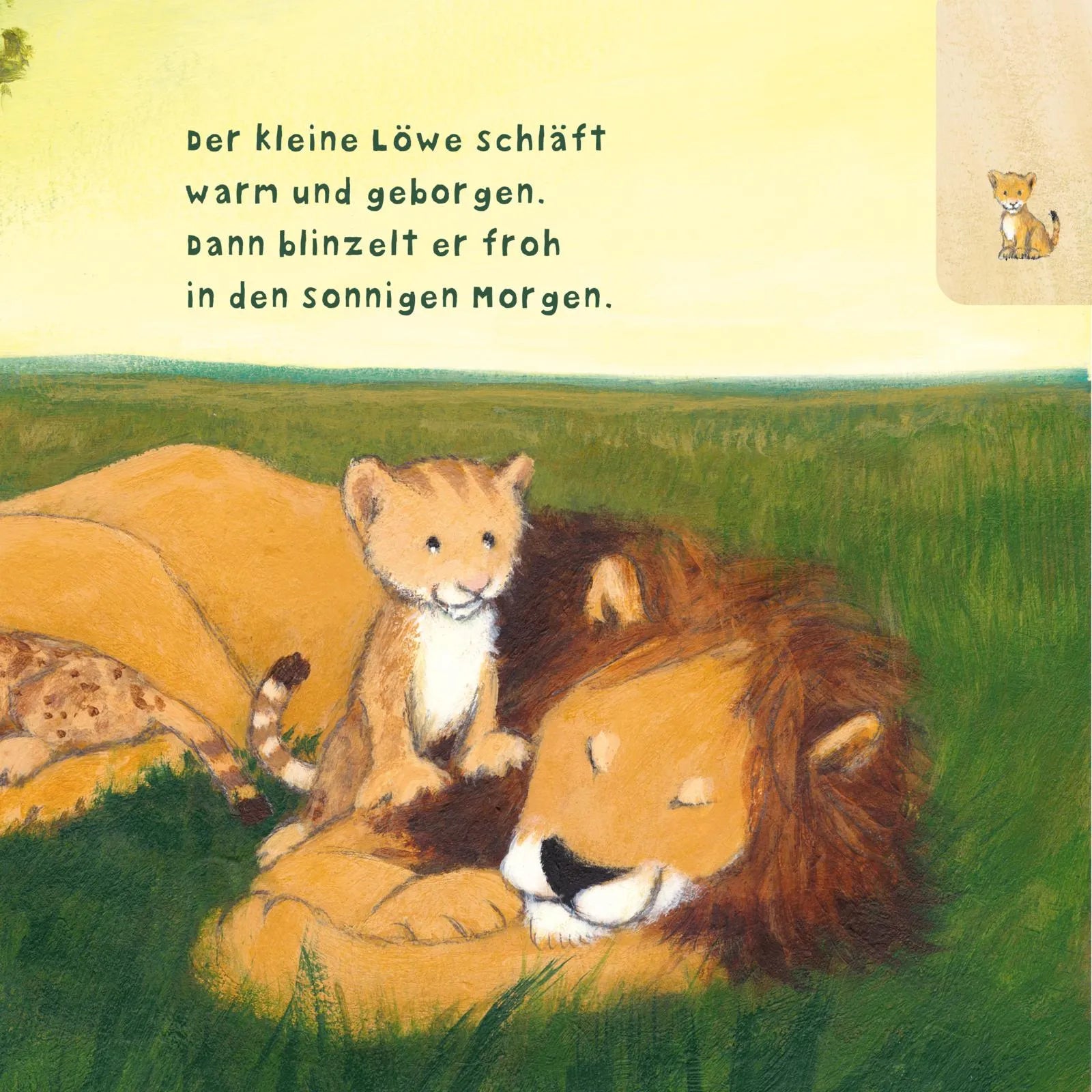 Abbildung von 'Baby Pixi'