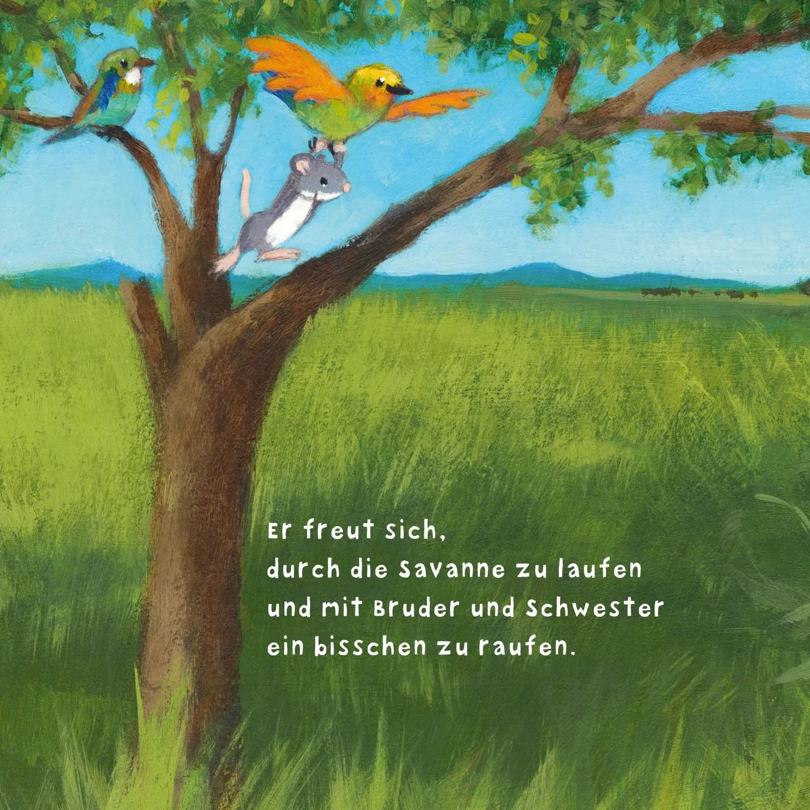 Produktansicht: Baby Pixi (Taschenbuch)
