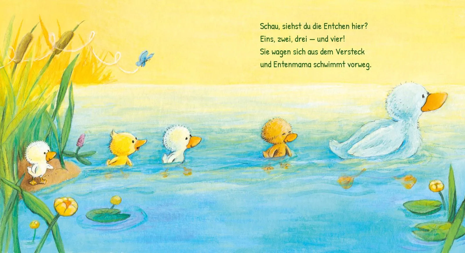 Abbildung von 'Baby Pixi'