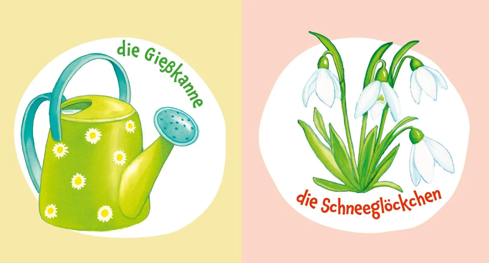 Abbildung von 'Baby Pixi'