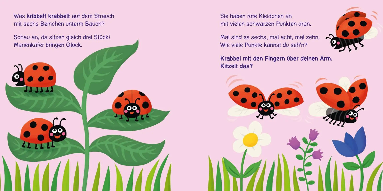 Abbildung von 'Baby Pixi'