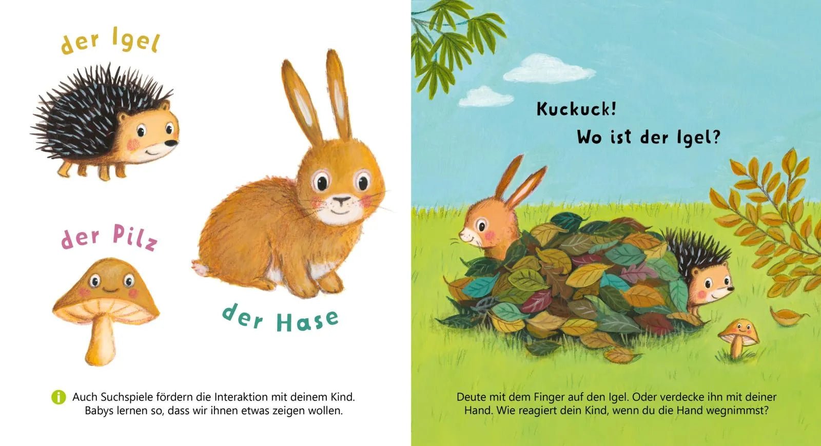 Abbildung von 'Baby Pixi'