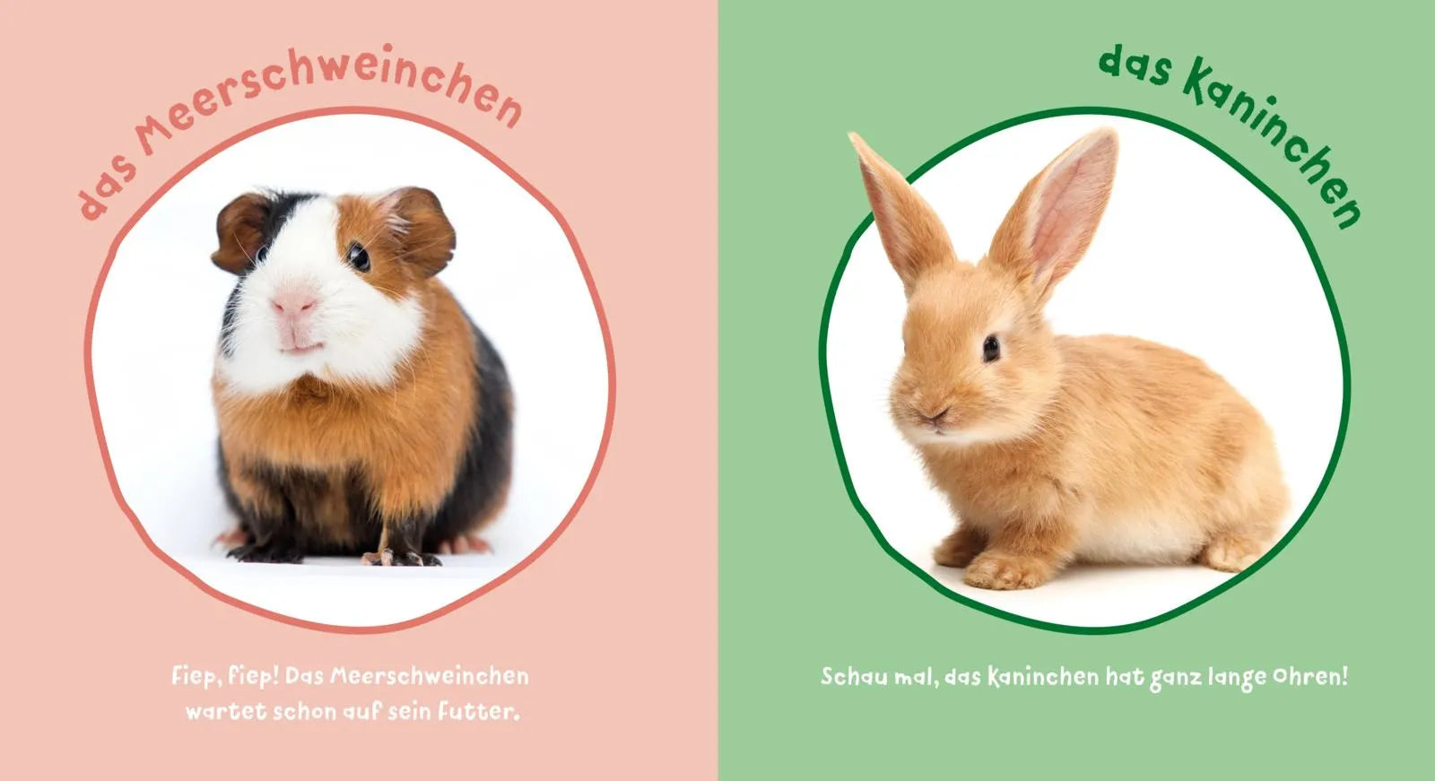 Detailansicht: Baby Pixi (Taschenbuch)