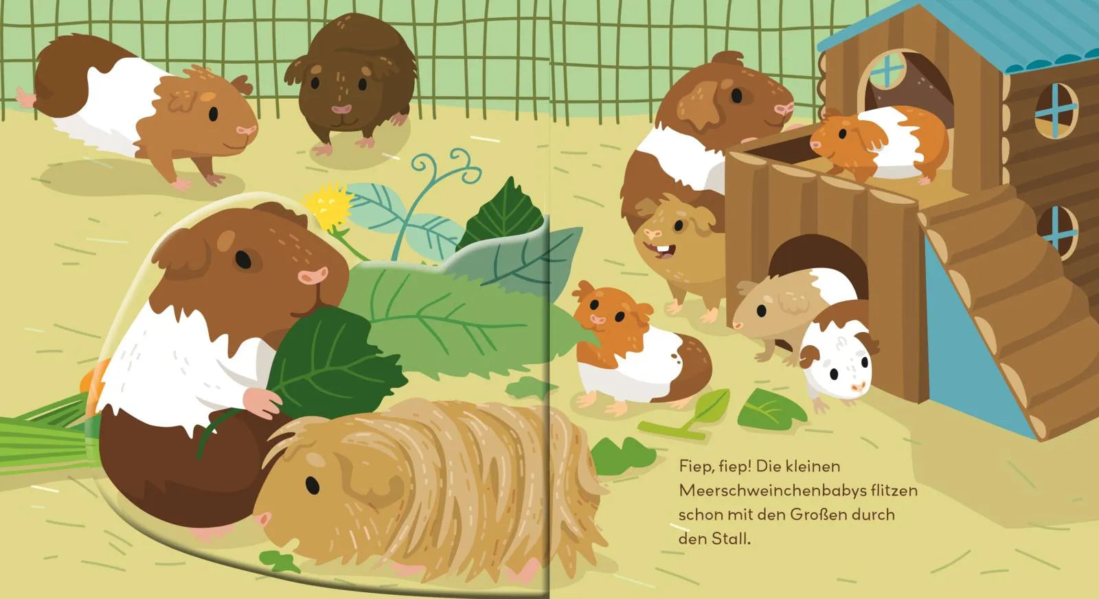 Detailansicht: Baby Pixi (Taschenbuch)