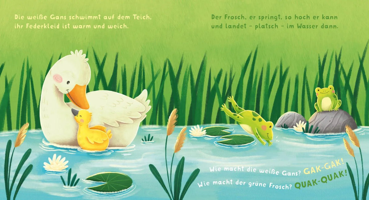 Detailansicht: Baby Pixi (Taschenbuch)