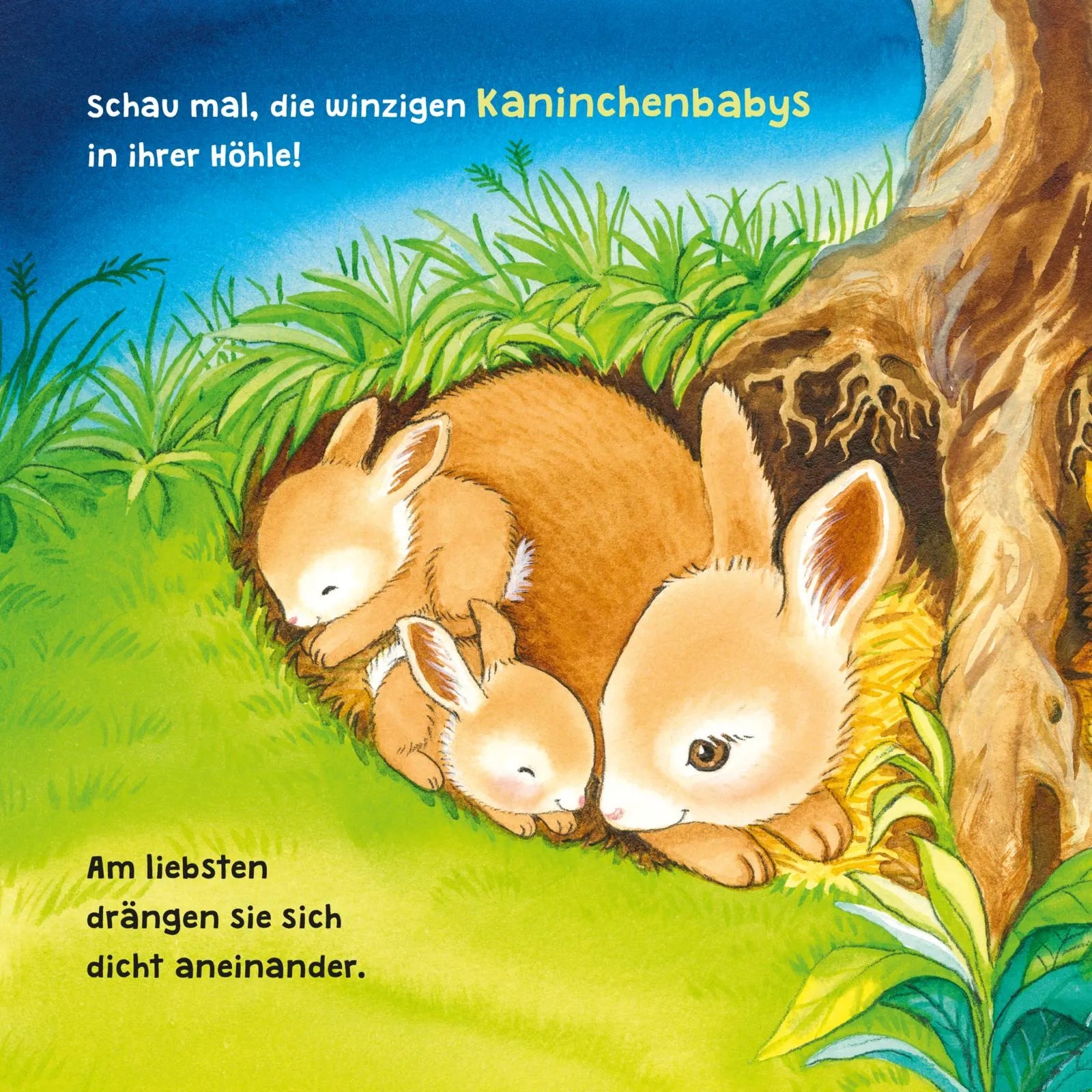 Produktansicht: Baby Pixi (Taschenbuch)