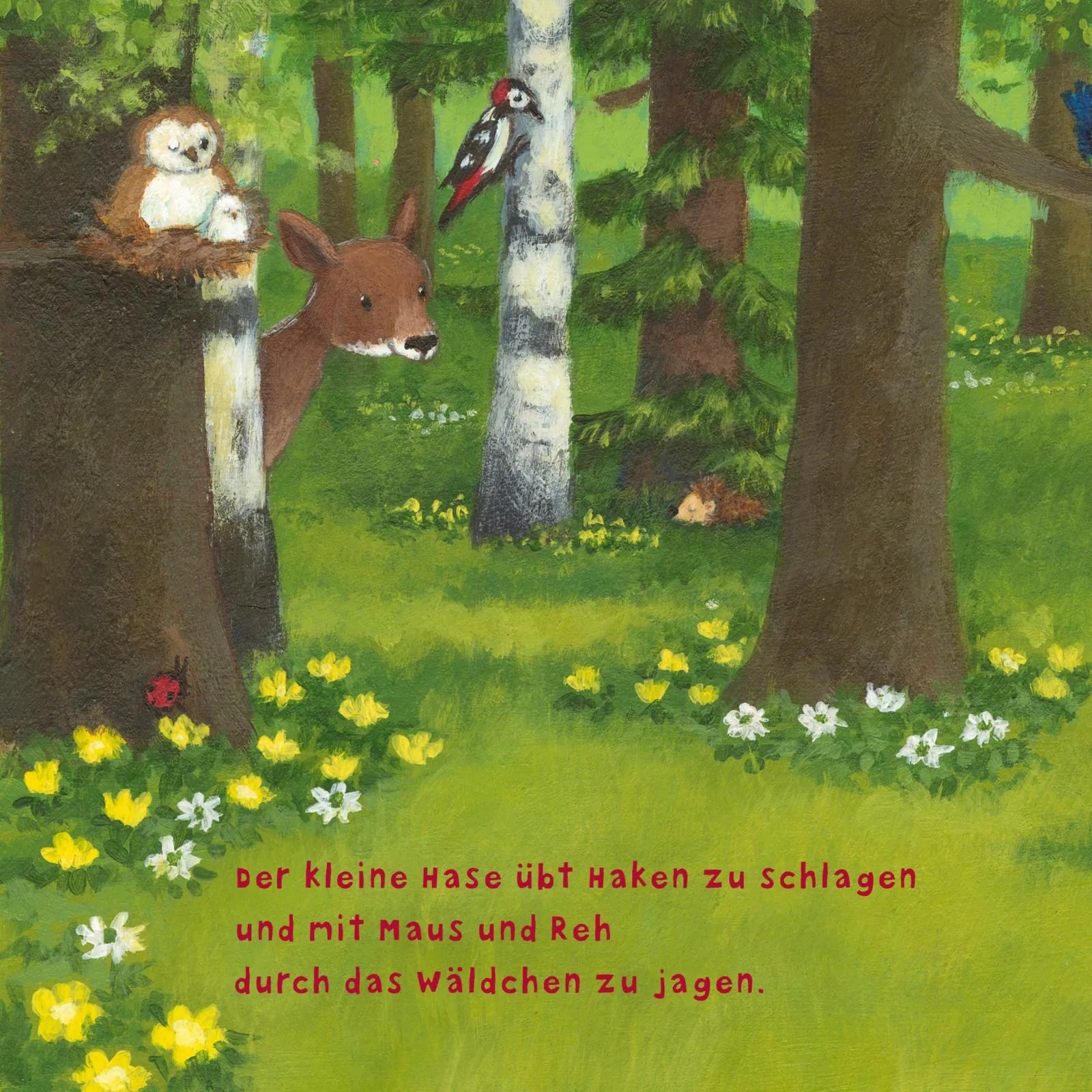 Produktansicht: Baby Pixi (Taschenbuch)