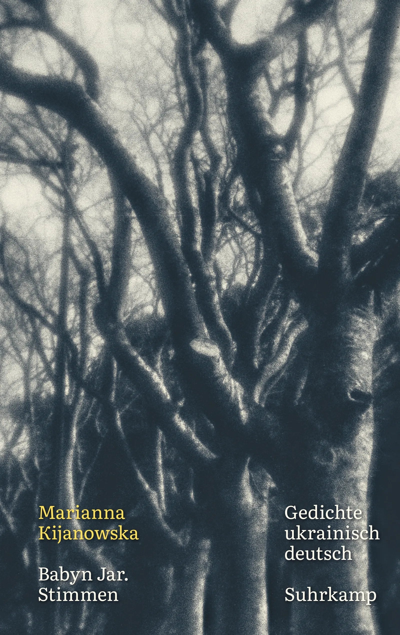 Cover: Babyn Jar. Stimmen (E-Book) von Marianna Kijanowska