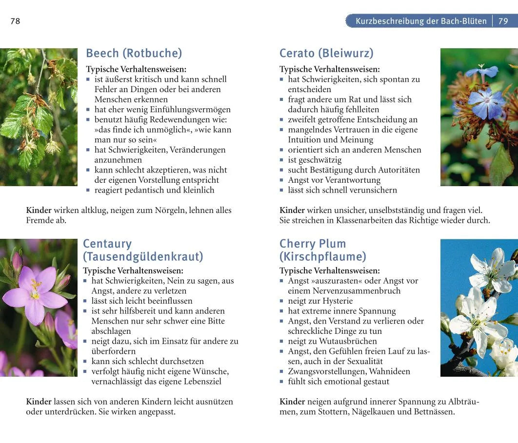 Produktansicht: Bachblüten (Paperback)