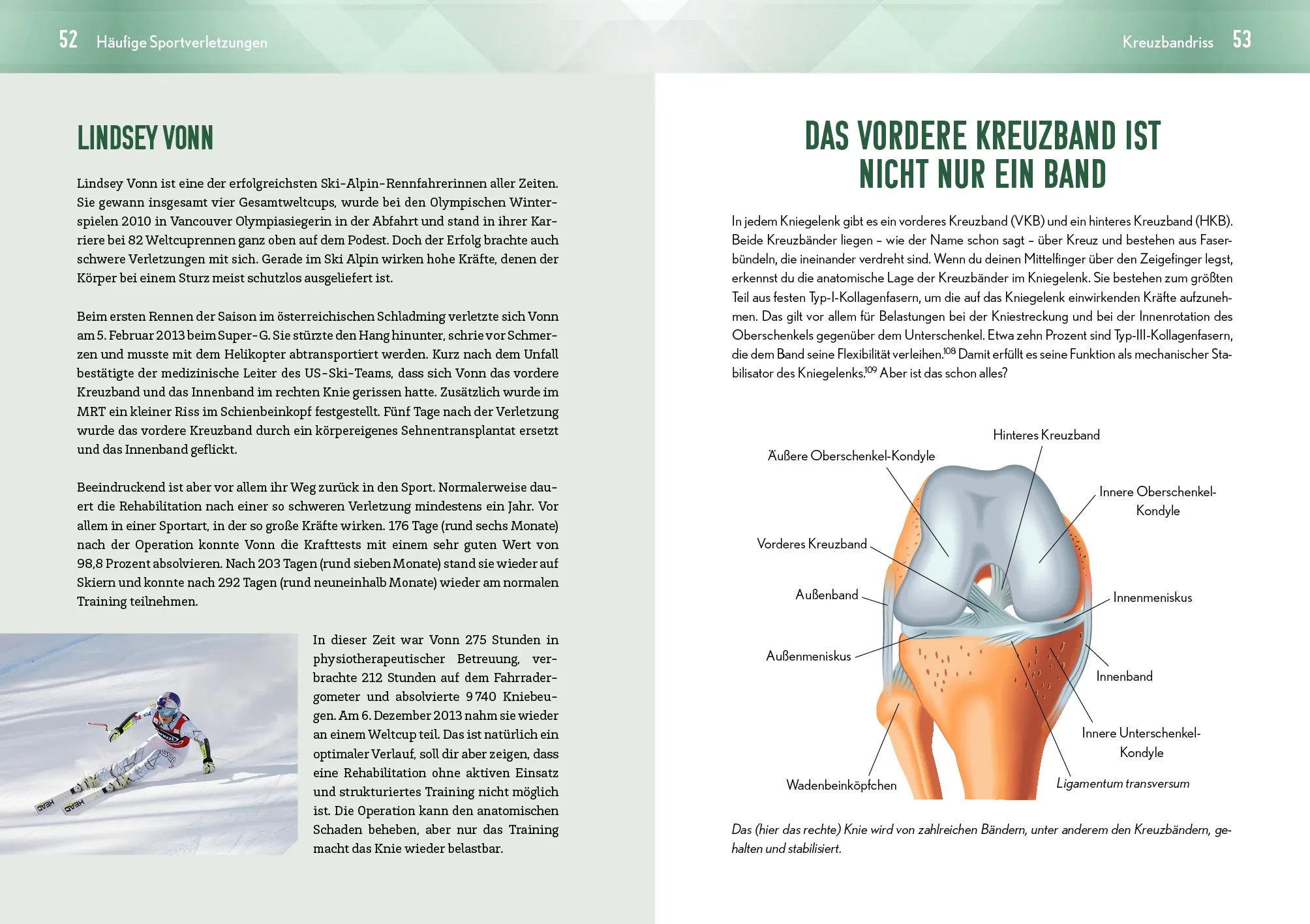 Innenansicht von 'Back in the game – dein Programm für den optimalen Wiedereinstieg' - Taschenbuch